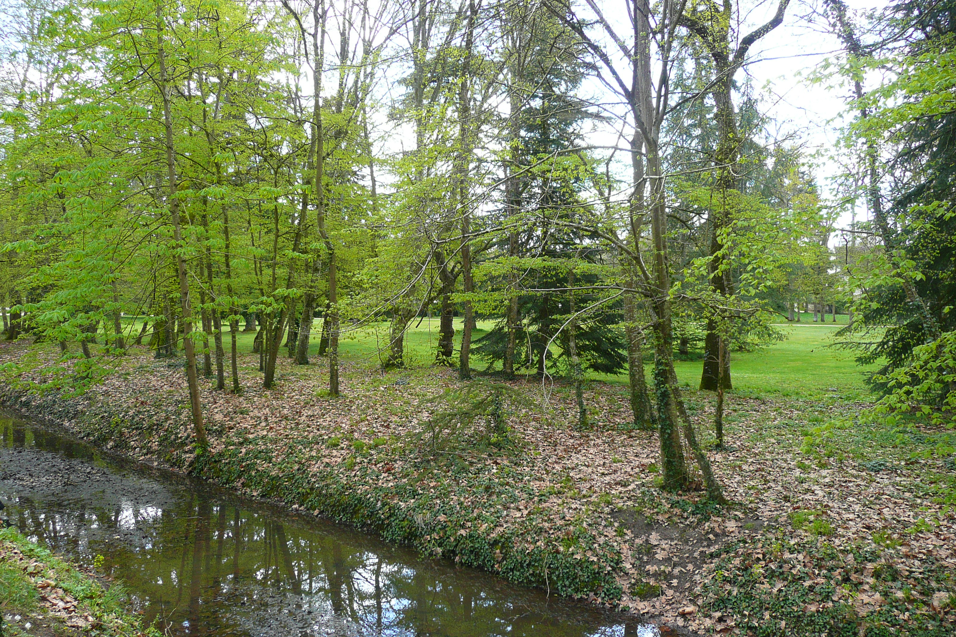 Picture France Chenonceau Castle Gardens of Chenonceau 2008-04 43 - Tour Gardens of Chenonceau