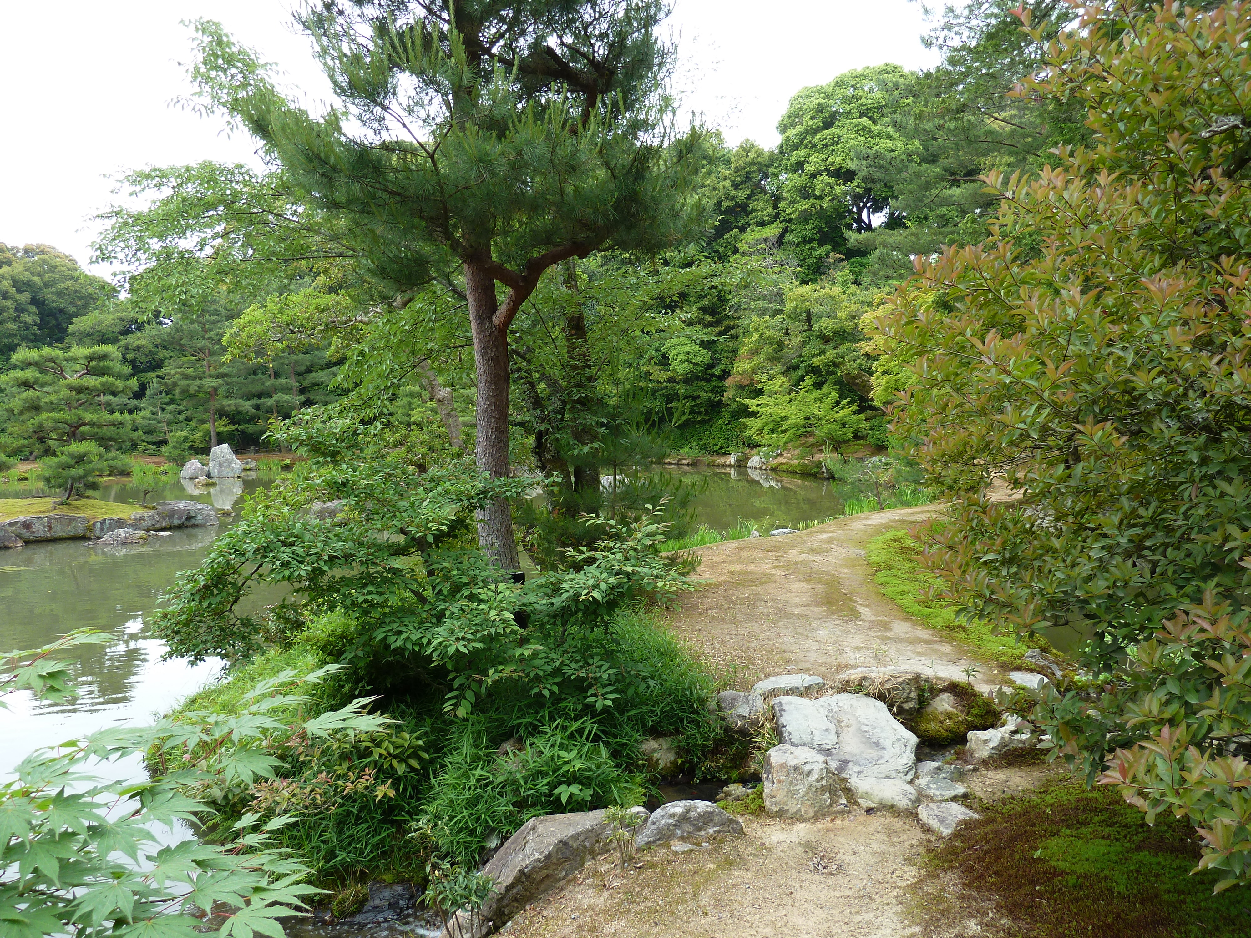 Picture Japan Kyoto Kinkakuji Temple(Golden Pavilion) 2010-06 19 - Tours Kinkakuji Temple(Golden Pavilion)