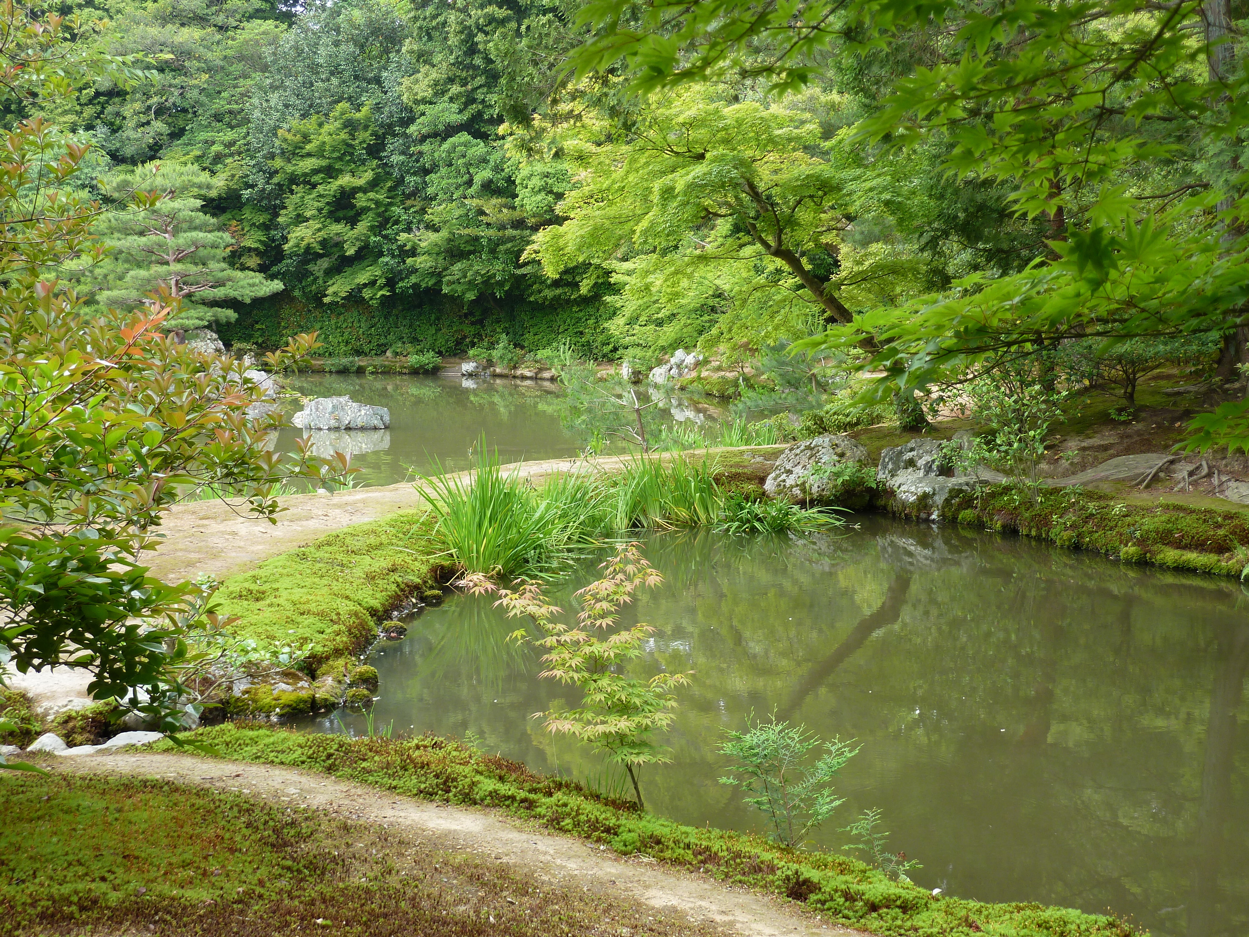 Picture Japan Kyoto Kinkakuji Temple(Golden Pavilion) 2010-06 12 - Tours Kinkakuji Temple(Golden Pavilion)