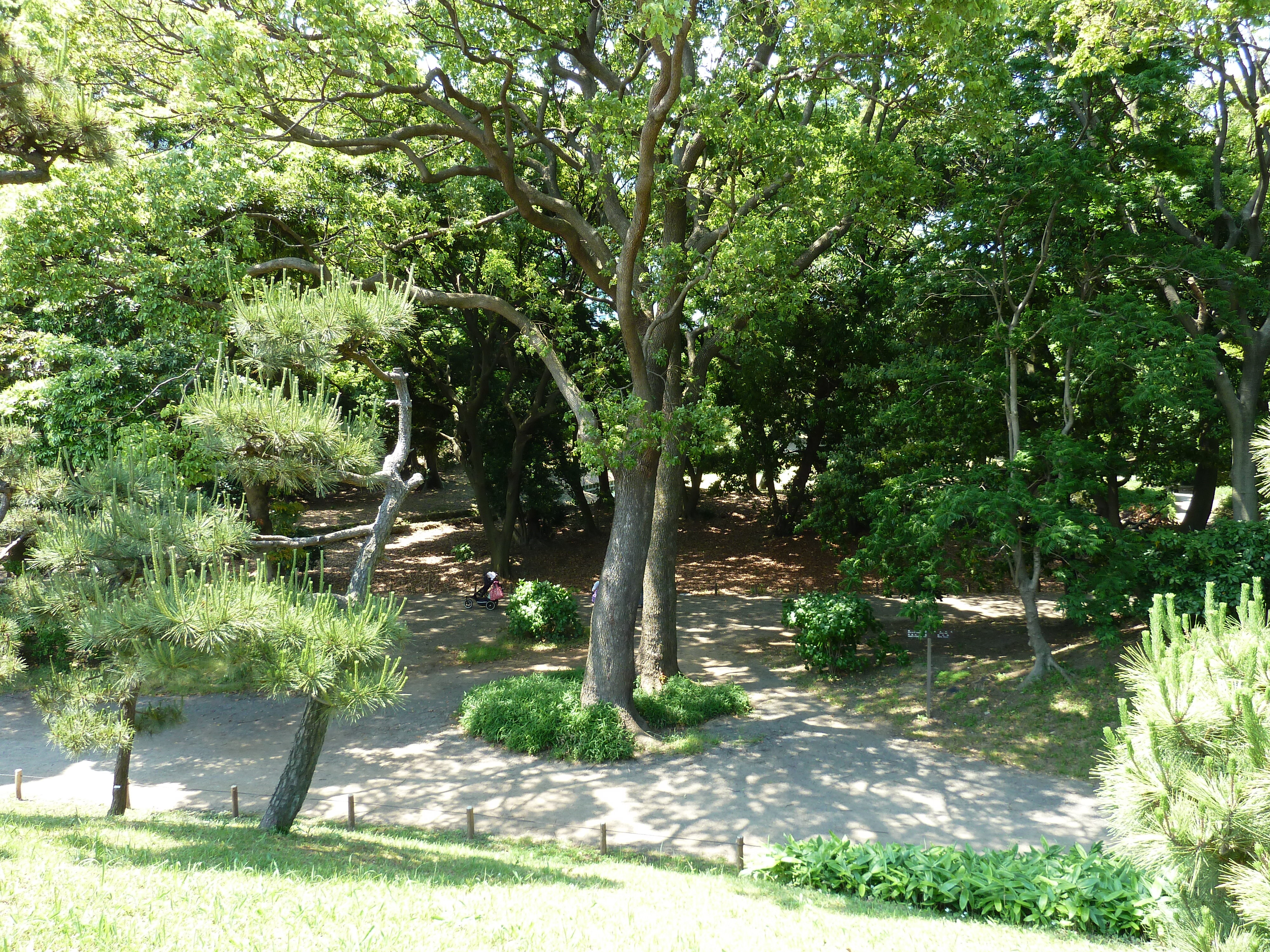 Picture Japan Tokyo Hama rikyu Gardens 2010-06 0 - Center Hama rikyu Gardens