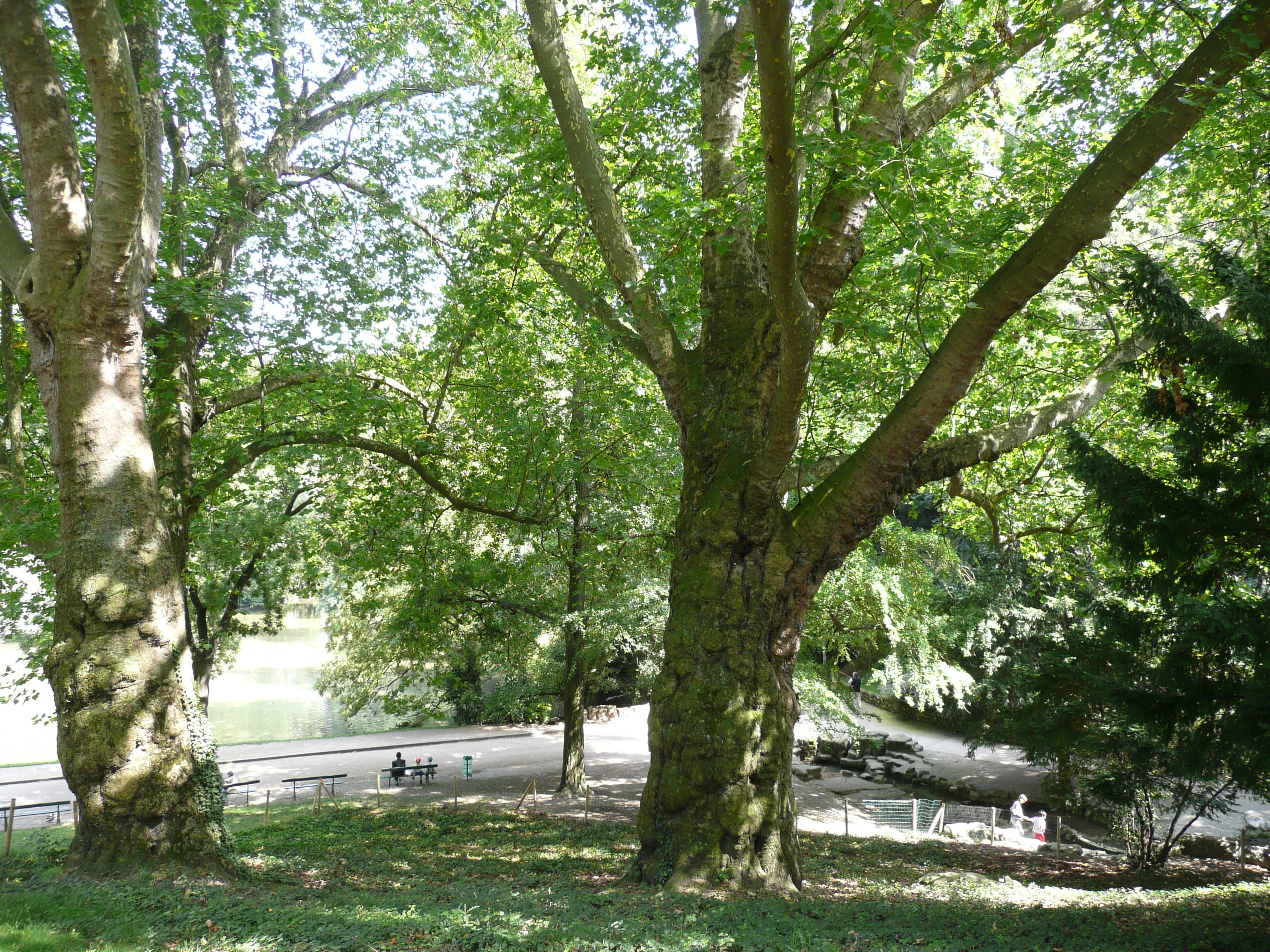 Picture France Paris Parc des Butes Chaumont 2007-08 155 - Around Parc des Butes Chaumont