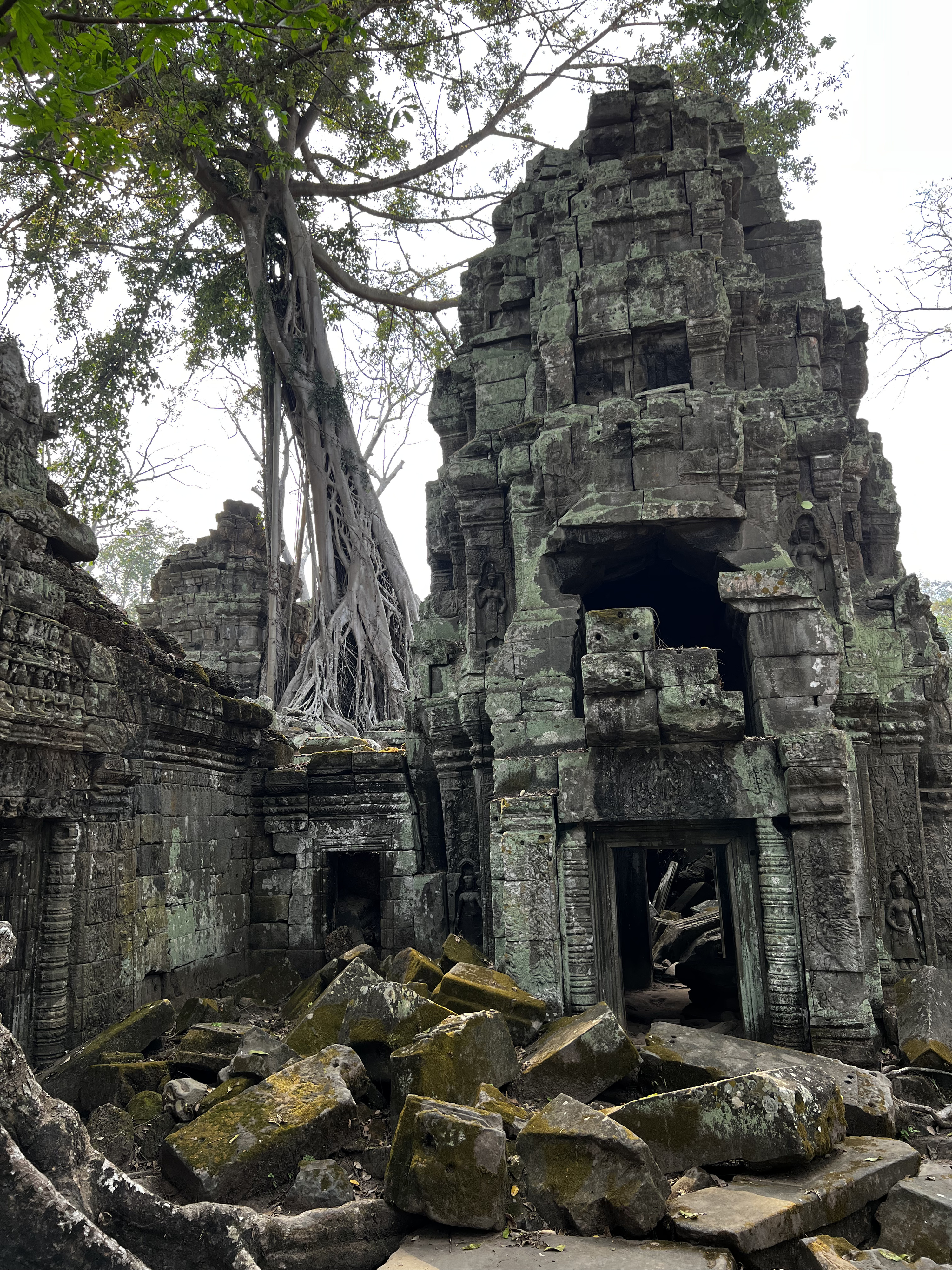 Picture Cambodia Siem Reap Ta Prohm 2023-01 94 - Journey Ta Prohm