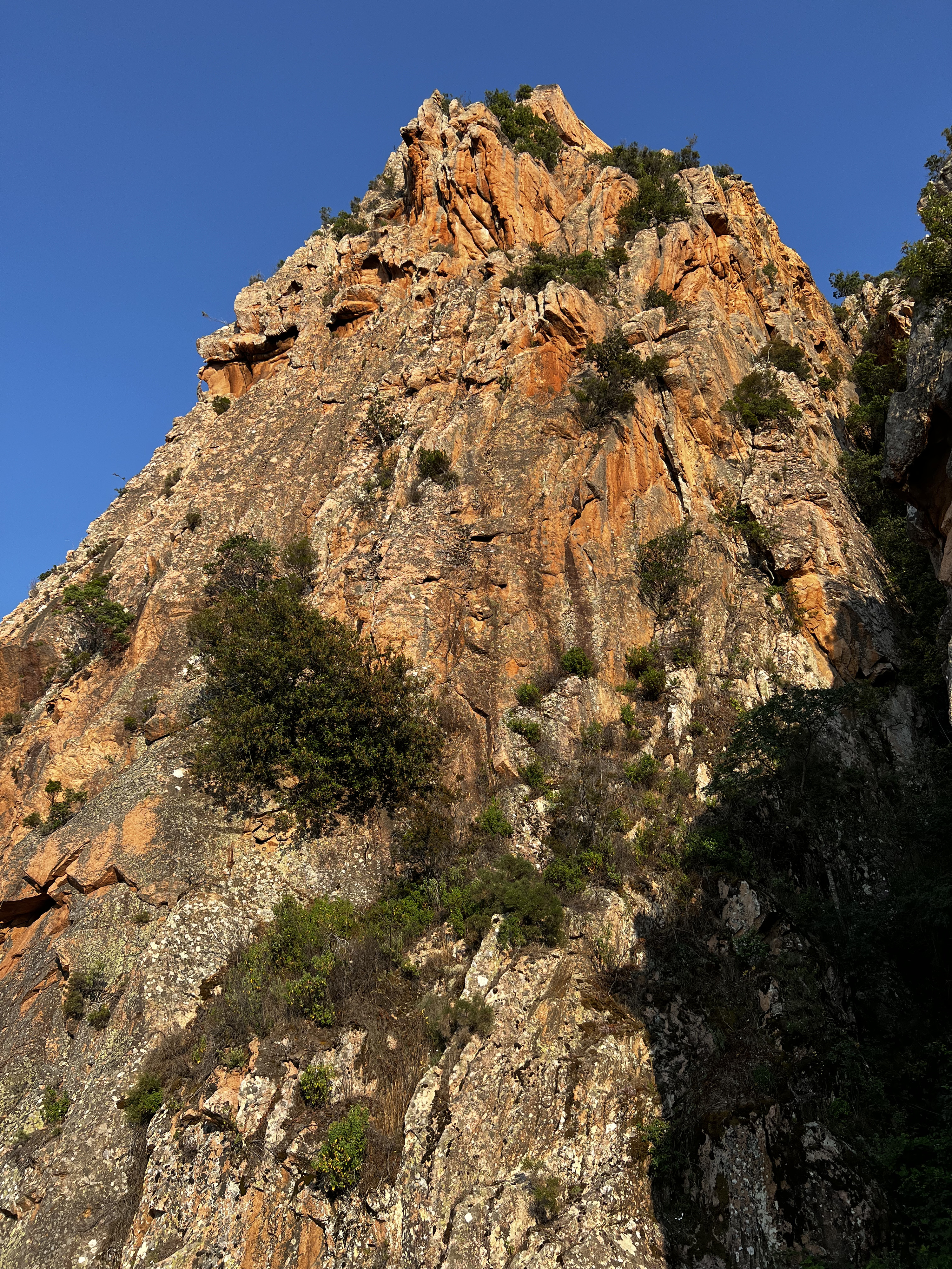 Picture France Corsica Calanques de Piana 2023-06 40 - Discovery Calanques de Piana