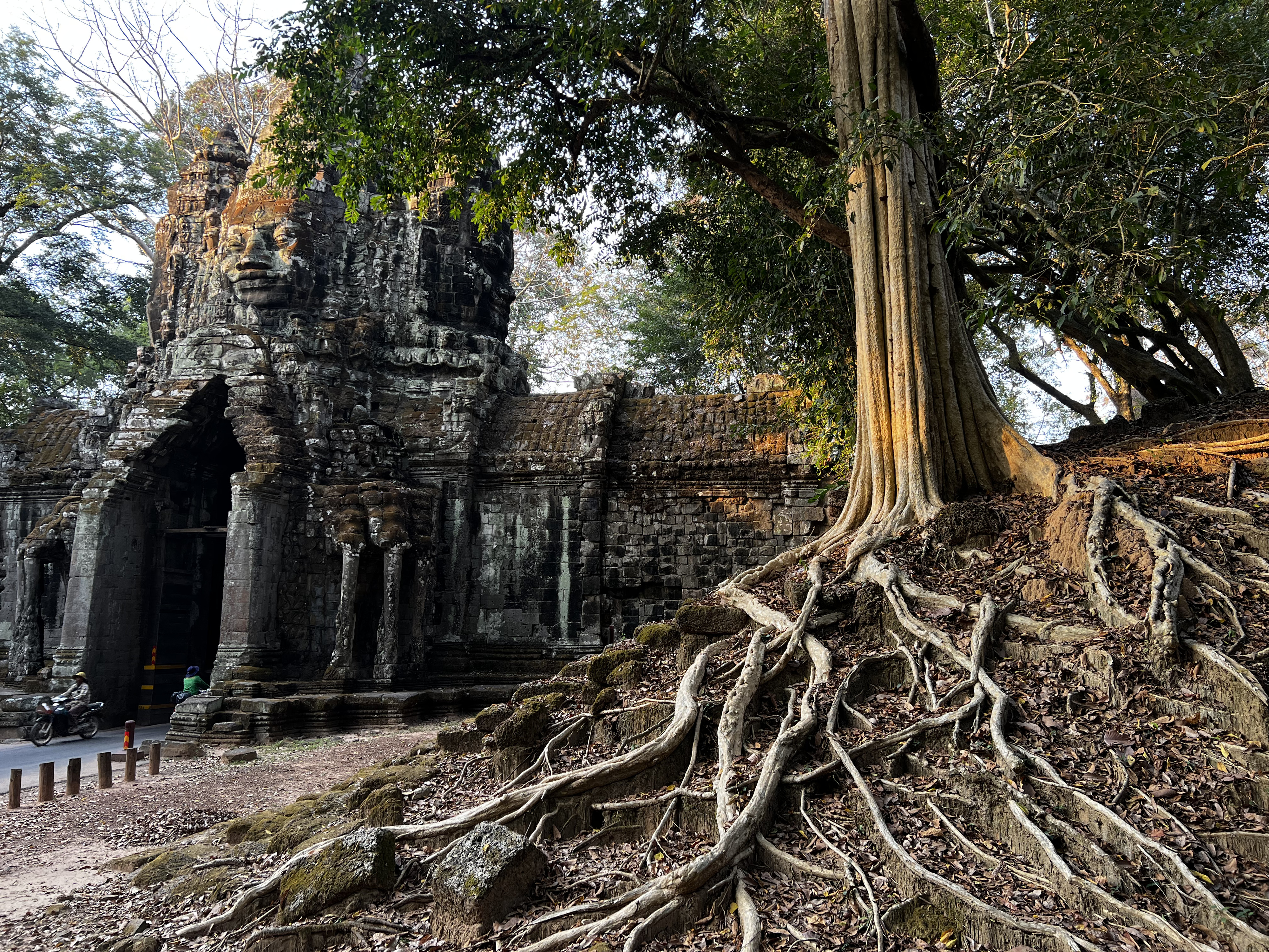 Picture Cambodia Siem Reap Angkor Thom 2023-01 55 - Recreation Angkor Thom