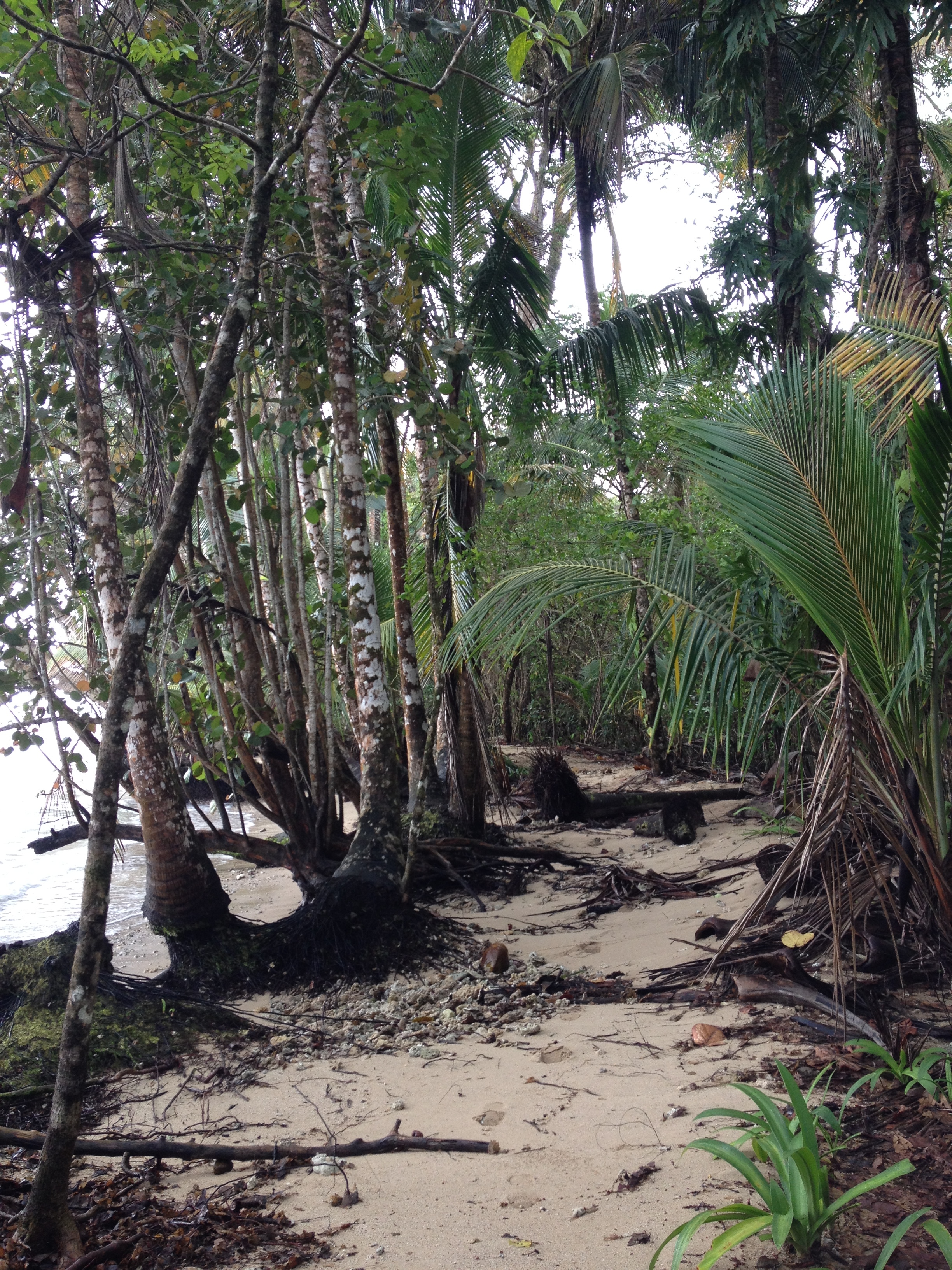 Picture Costa Rica Cahuita 2015-03 12 - History Cahuita