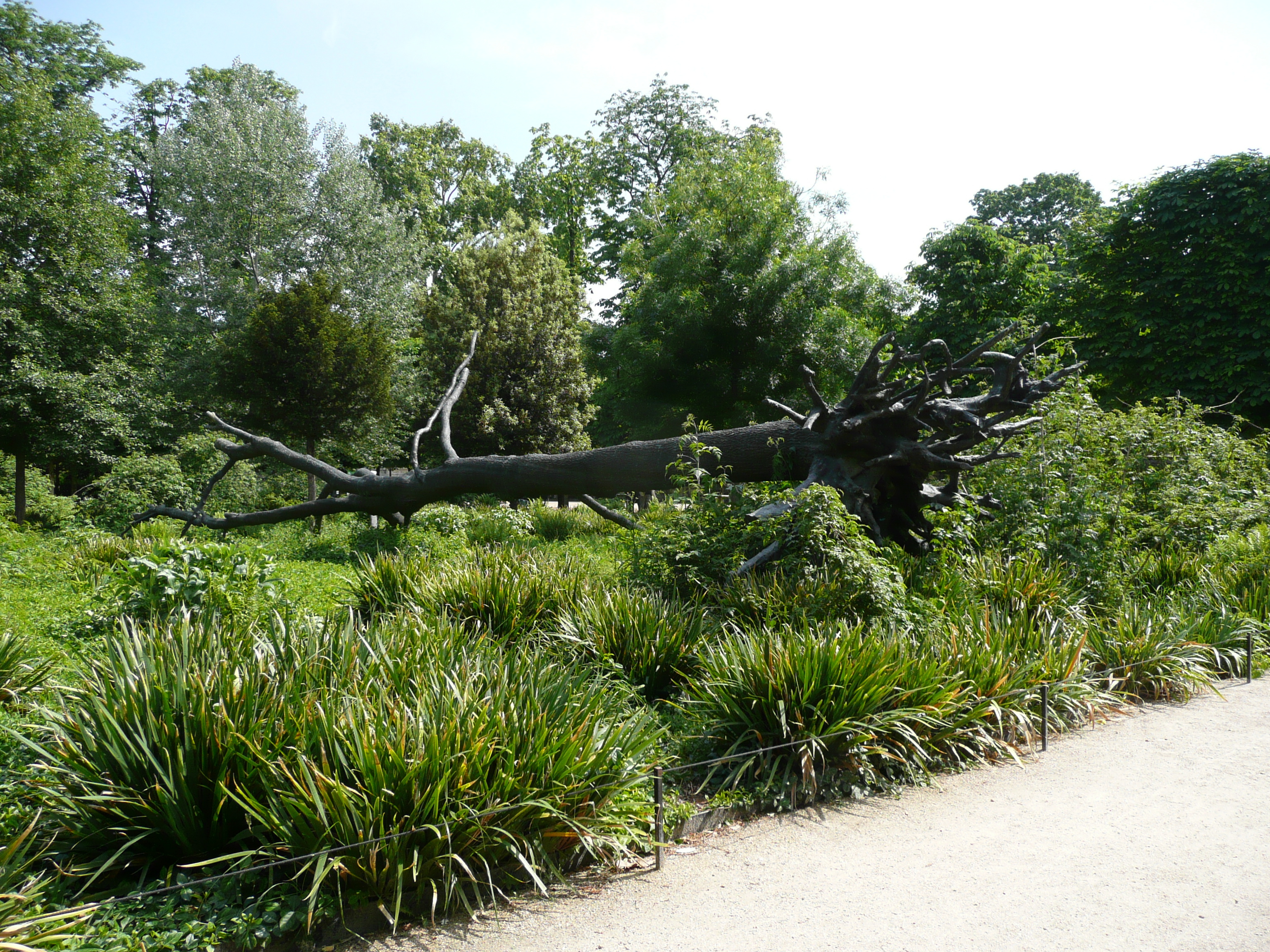 Picture France Paris Garden of Tuileries 2007-05 260 - Discovery Garden of Tuileries