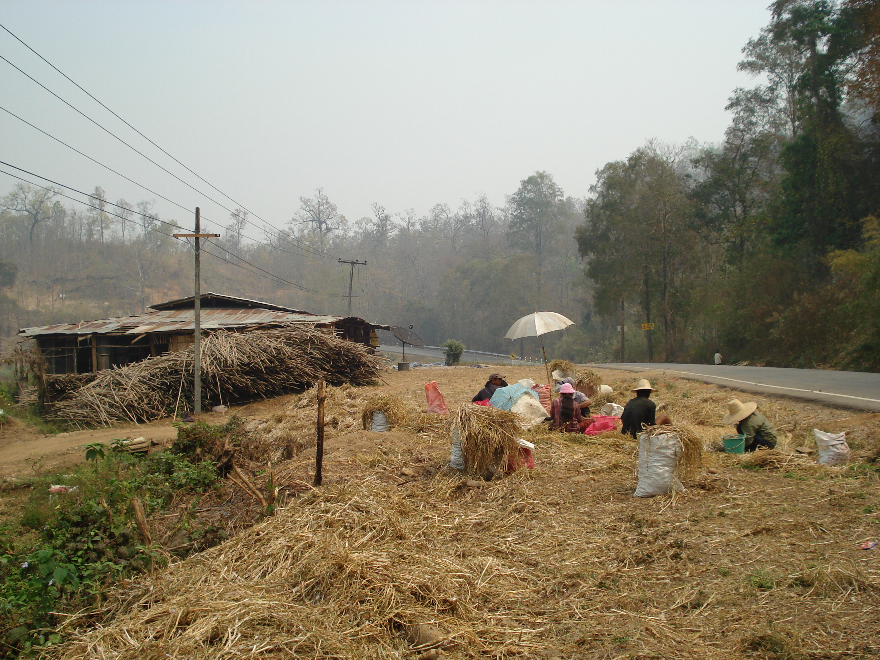 Picture Thailand Pang Mapha to Pai road 2007-02 7 - Tour Pang Mapha to Pai road