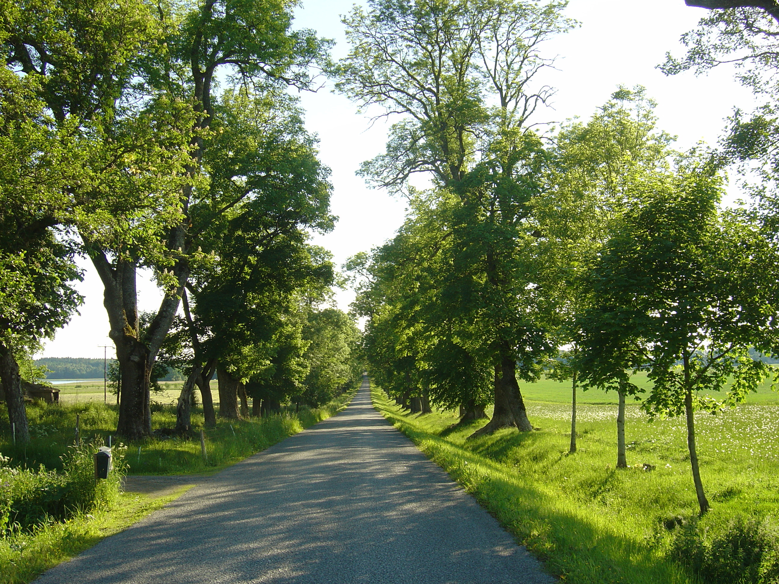 Picture Sweden Sigtuna to Uppsala road 2005-06 10 - Center Sigtuna to Uppsala road