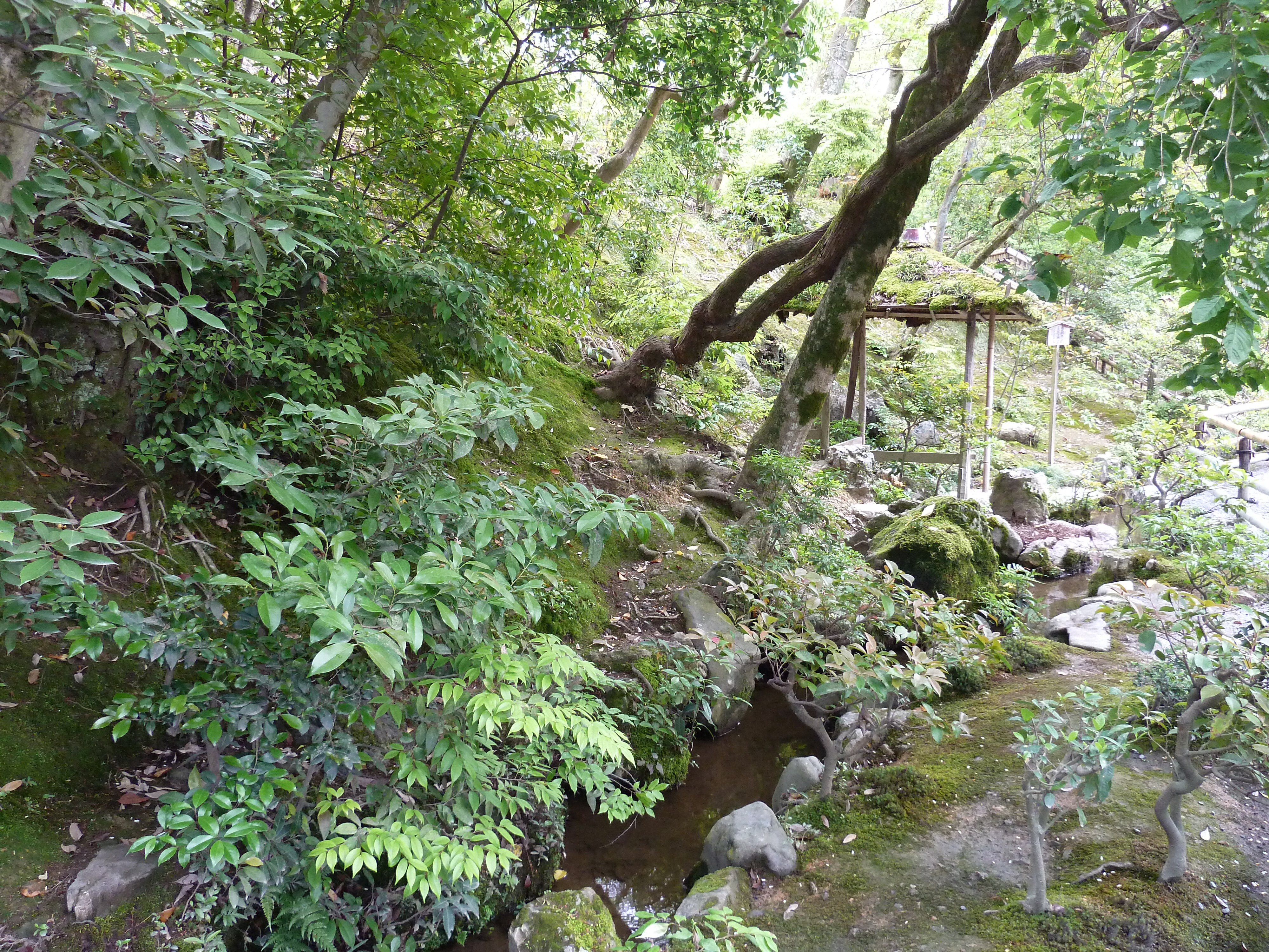 Picture Japan Kyoto Kinkakuji Temple(Golden Pavilion) 2010-06 61 - Journey Kinkakuji Temple(Golden Pavilion)