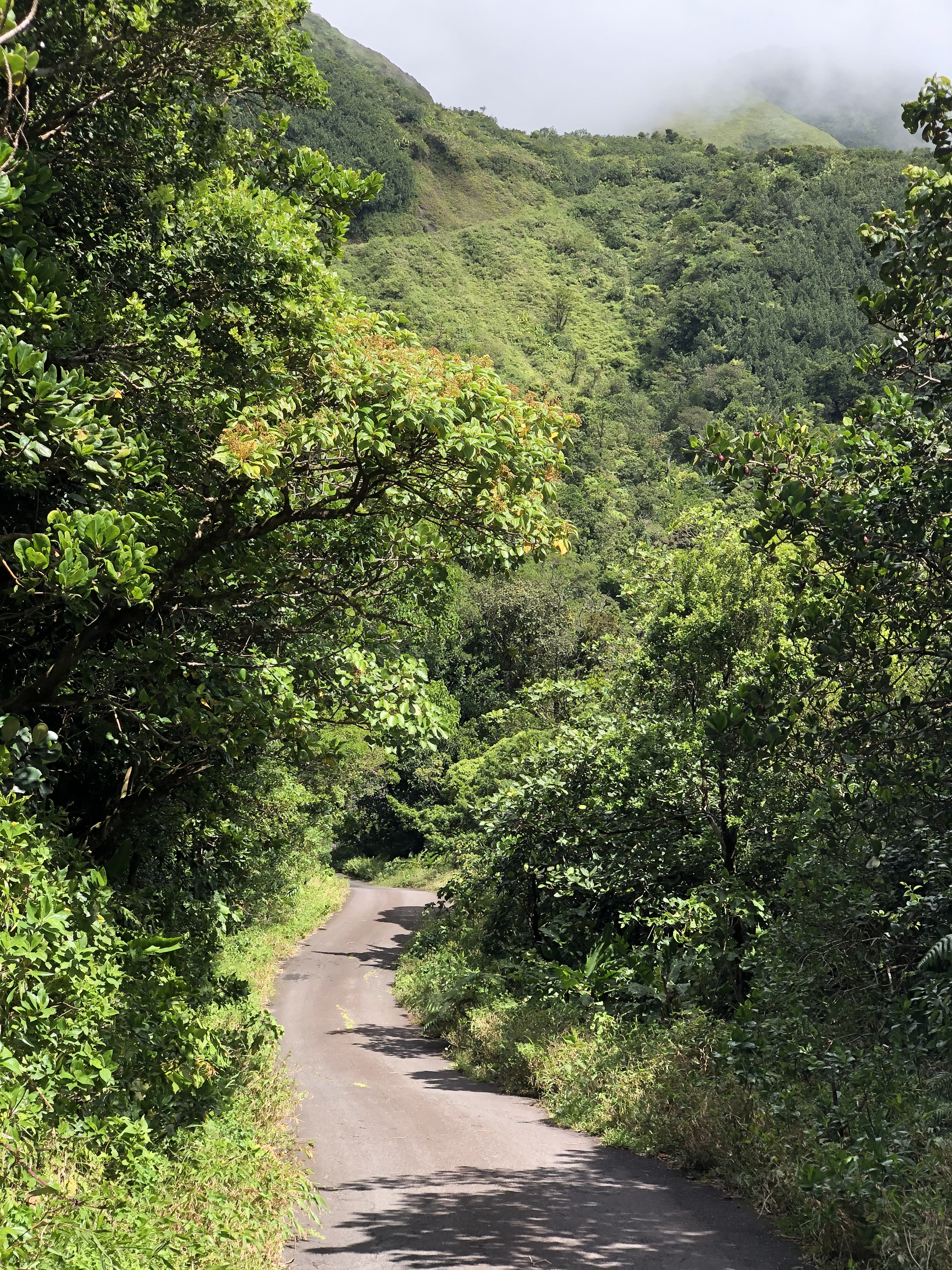 Picture Guadeloupe La Grande Soufriere 2021-02 73 - Recreation La Grande Soufriere