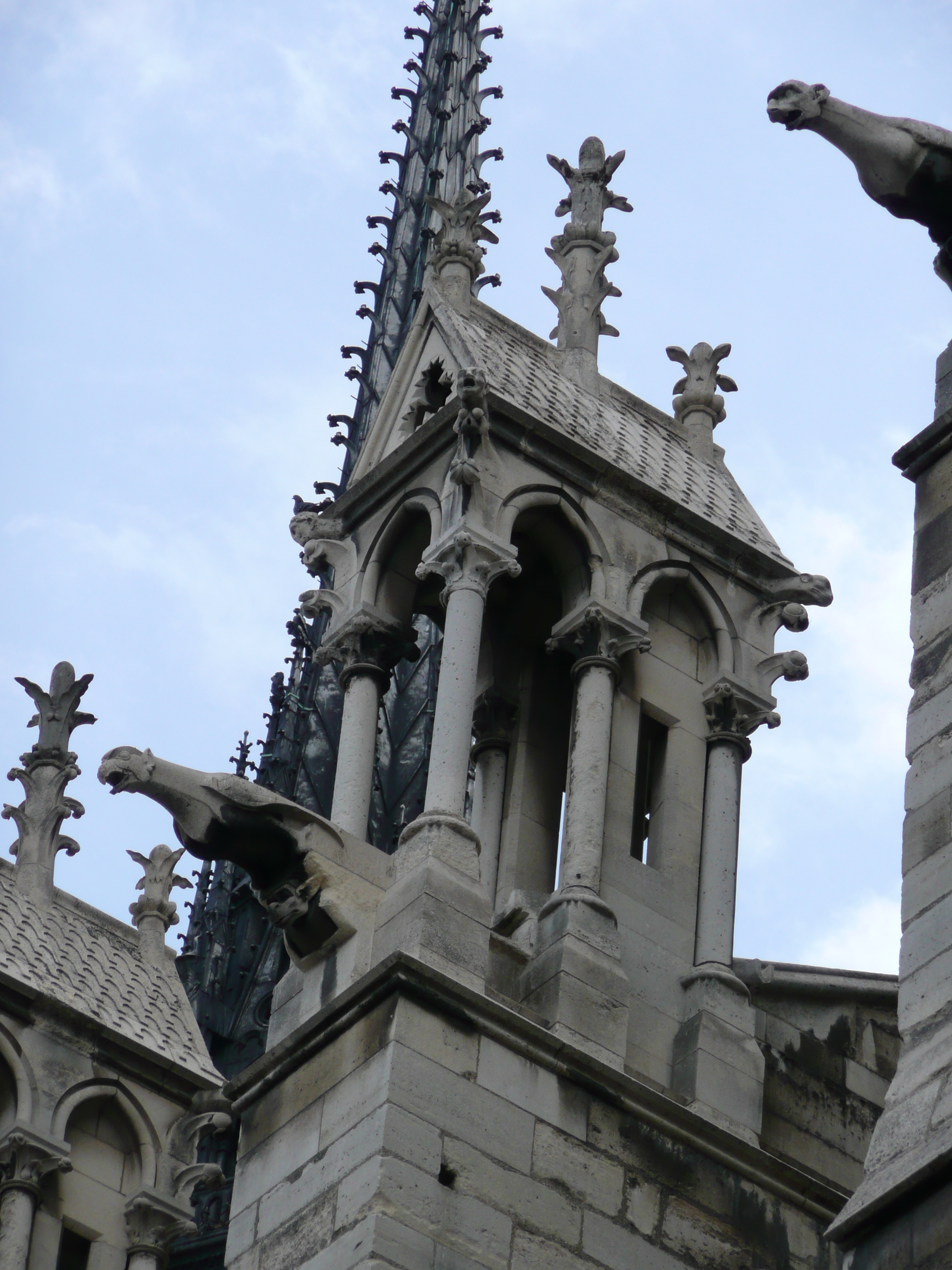 Picture France Paris Notre Dame 2007-05 208 - Tour Notre Dame