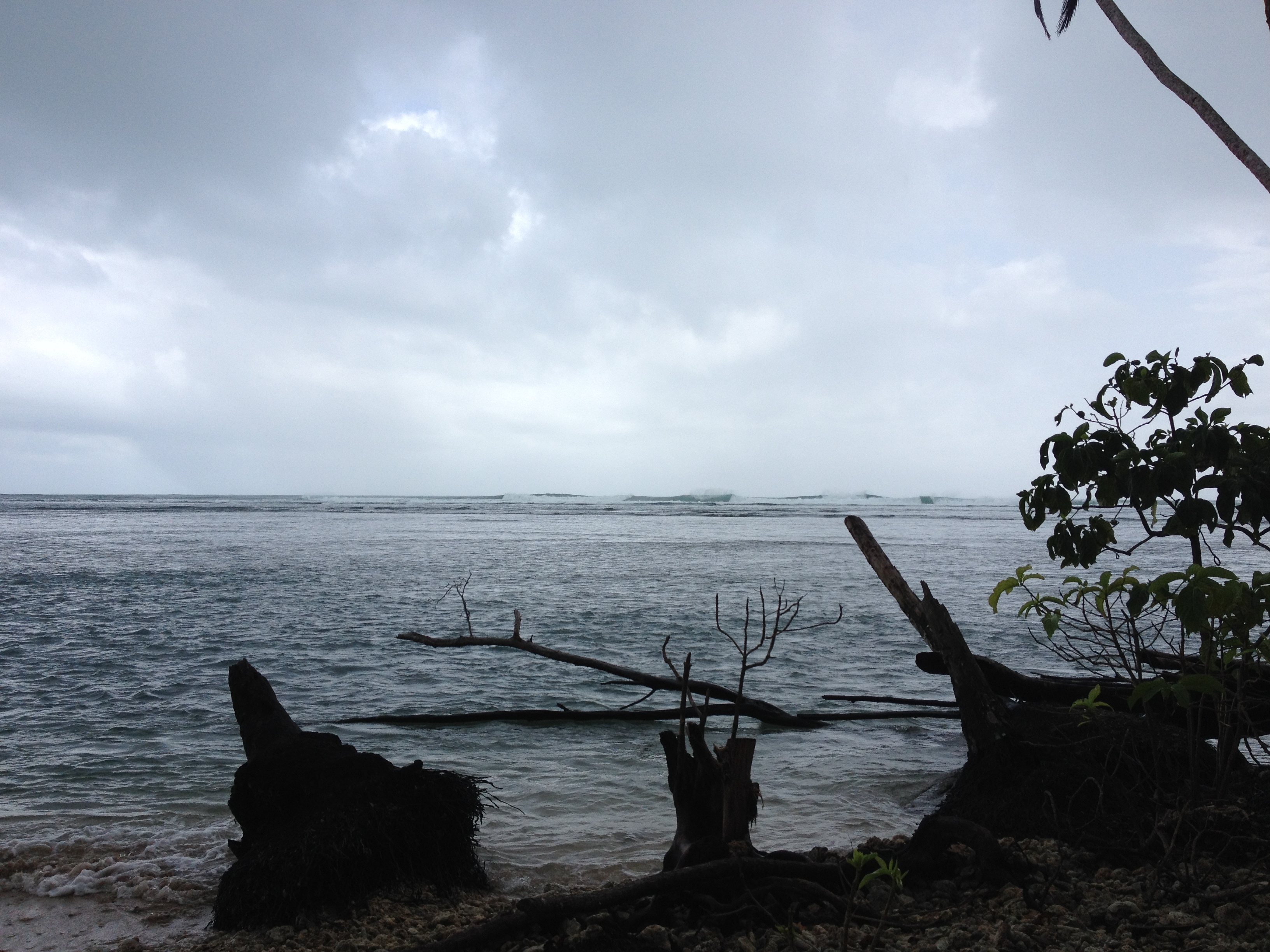 Picture Costa Rica Cahuita 2015-03 218 - Center Cahuita