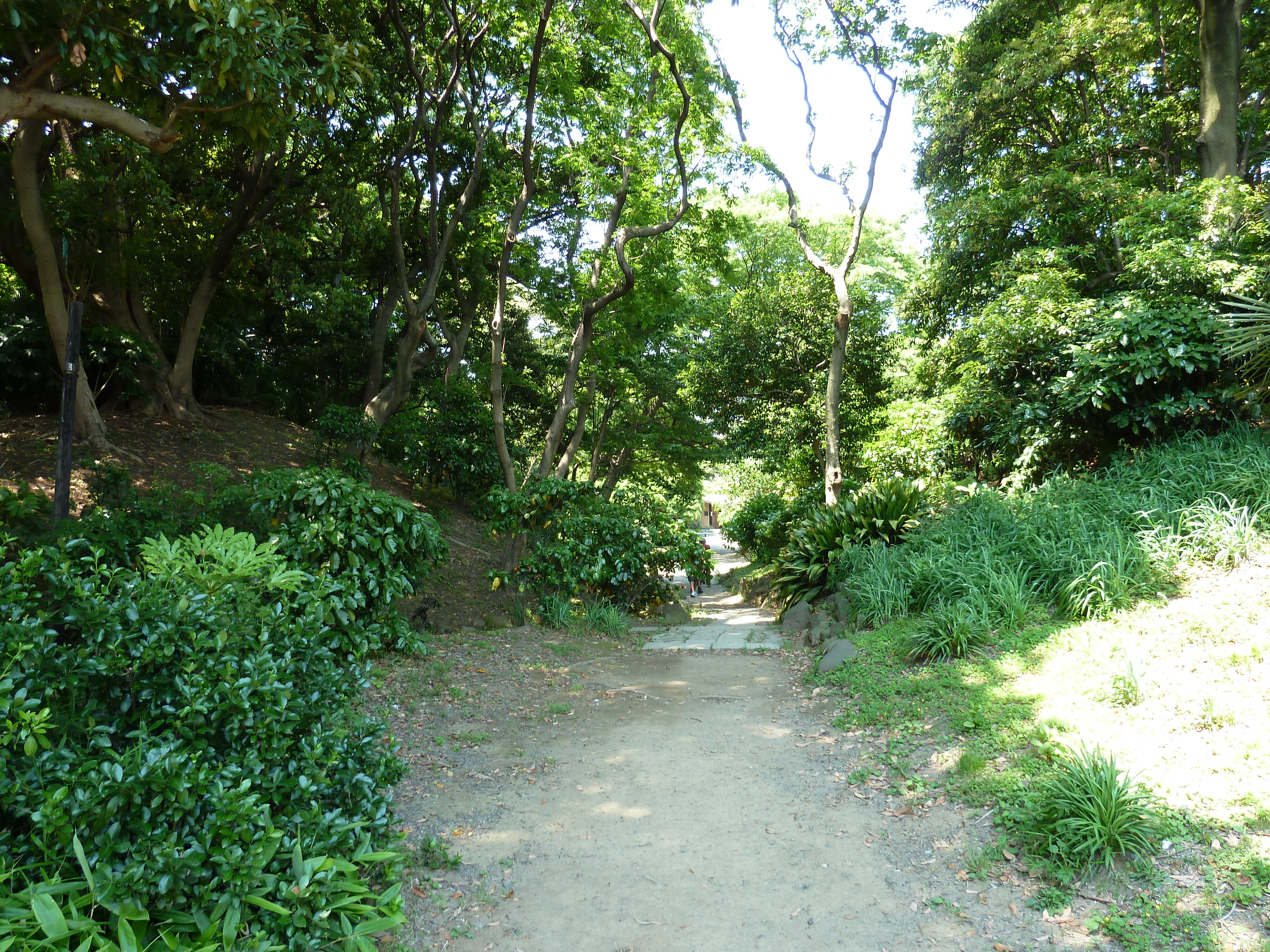 Picture Japan Tokyo Hama rikyu Gardens 2010-06 52 - Journey Hama rikyu Gardens