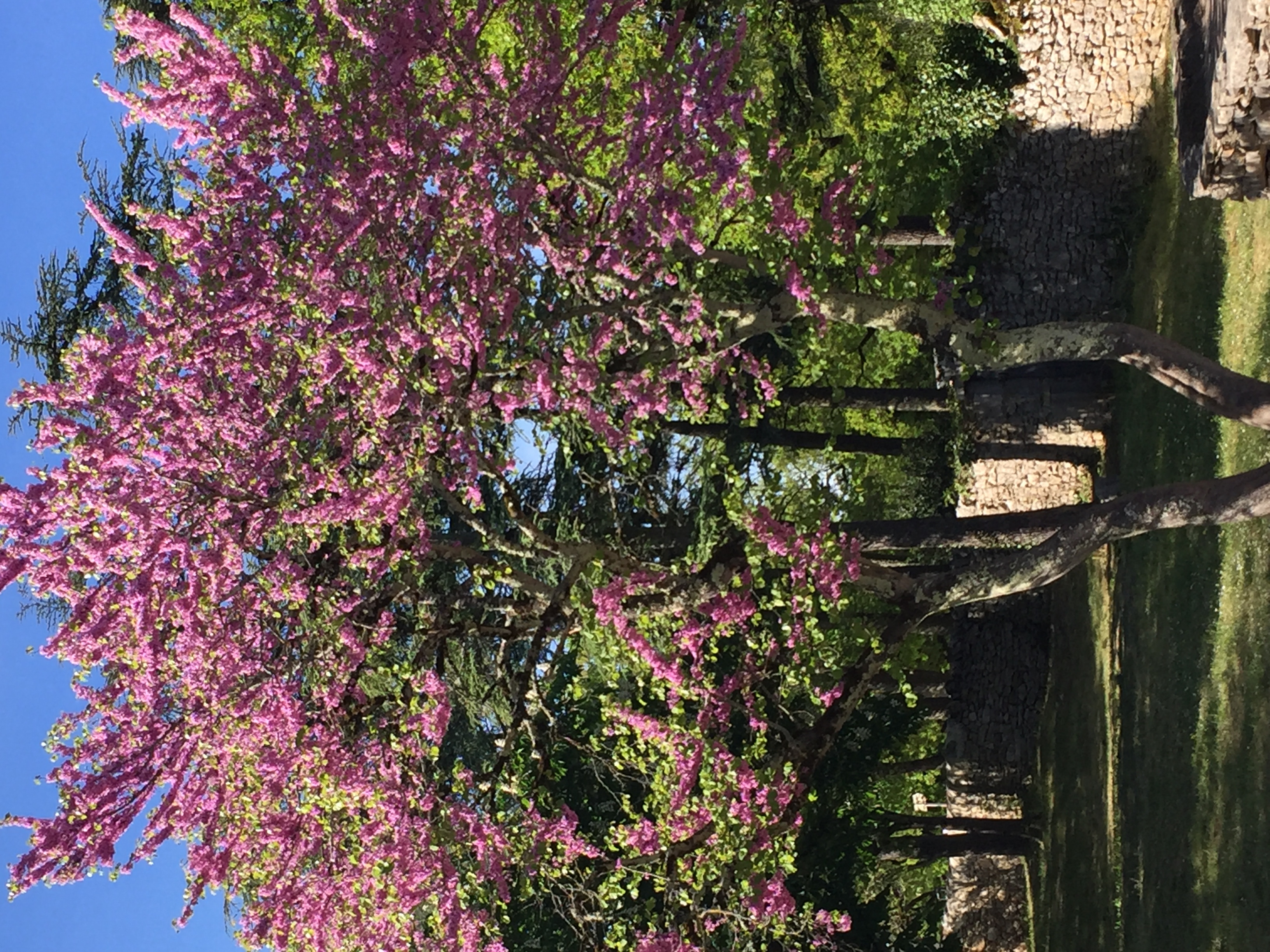 Picture France Rocamadour 2018-04 72 - Discovery Rocamadour