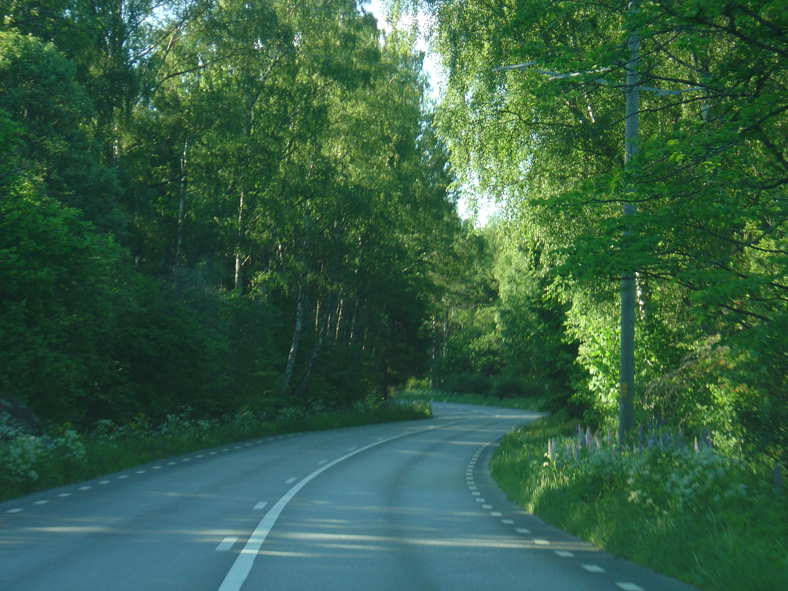 Picture Sweden Sigtuna to Uppsala road 2005-06 4 - Tours Sigtuna to Uppsala road