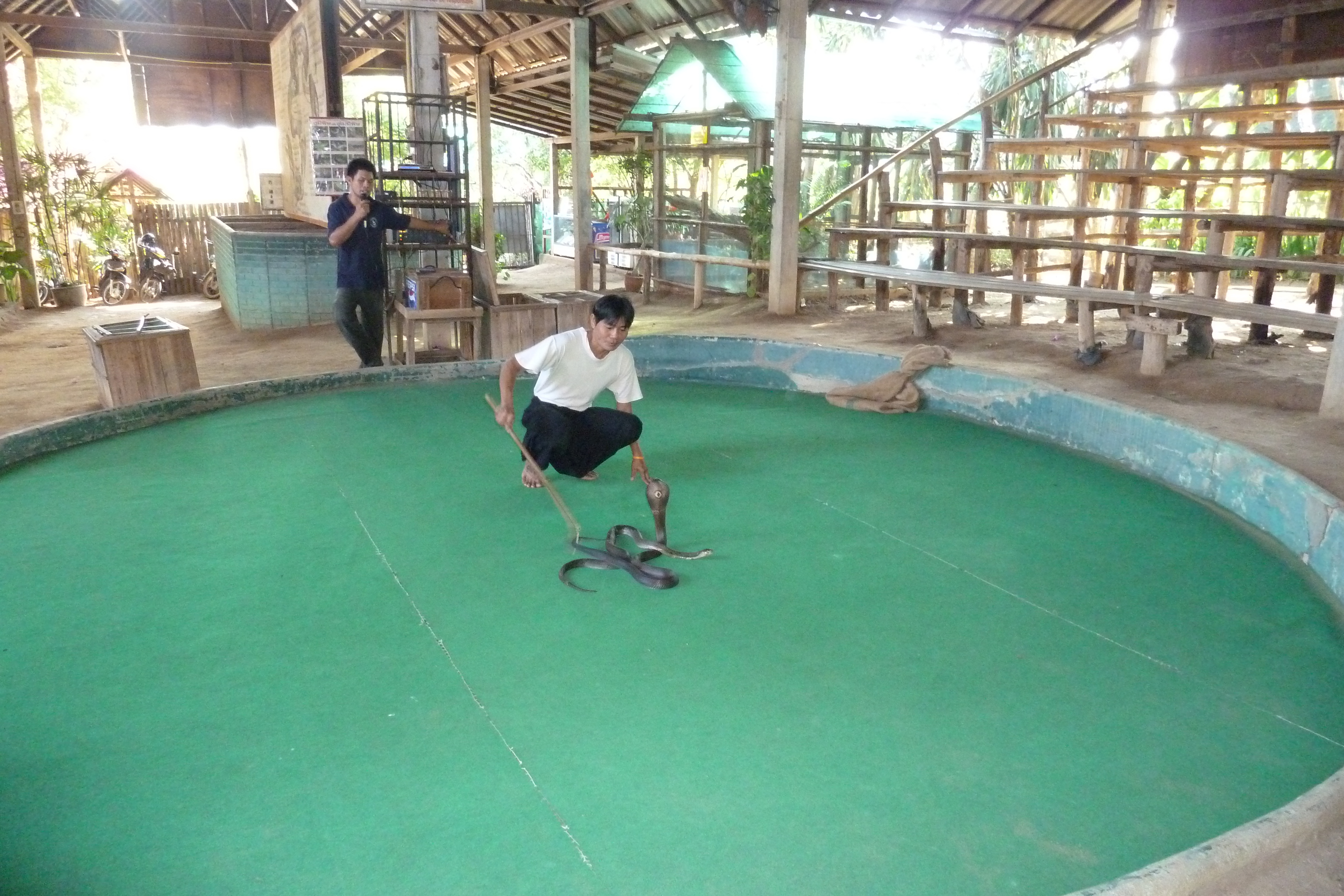 Picture Thailand Chiang Mai Mae Sa Snake Farm 2010-12 15 - Center Mae Sa Snake Farm