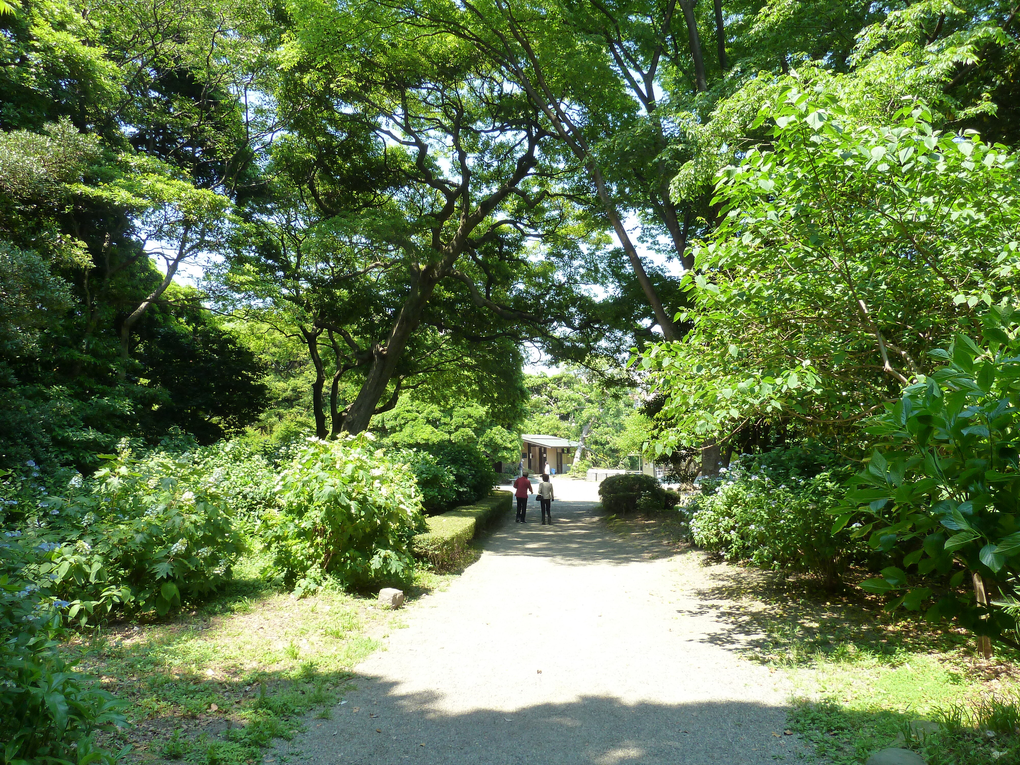 Picture Japan Tokyo Hama rikyu Gardens 2010-06 28 - Center Hama rikyu Gardens