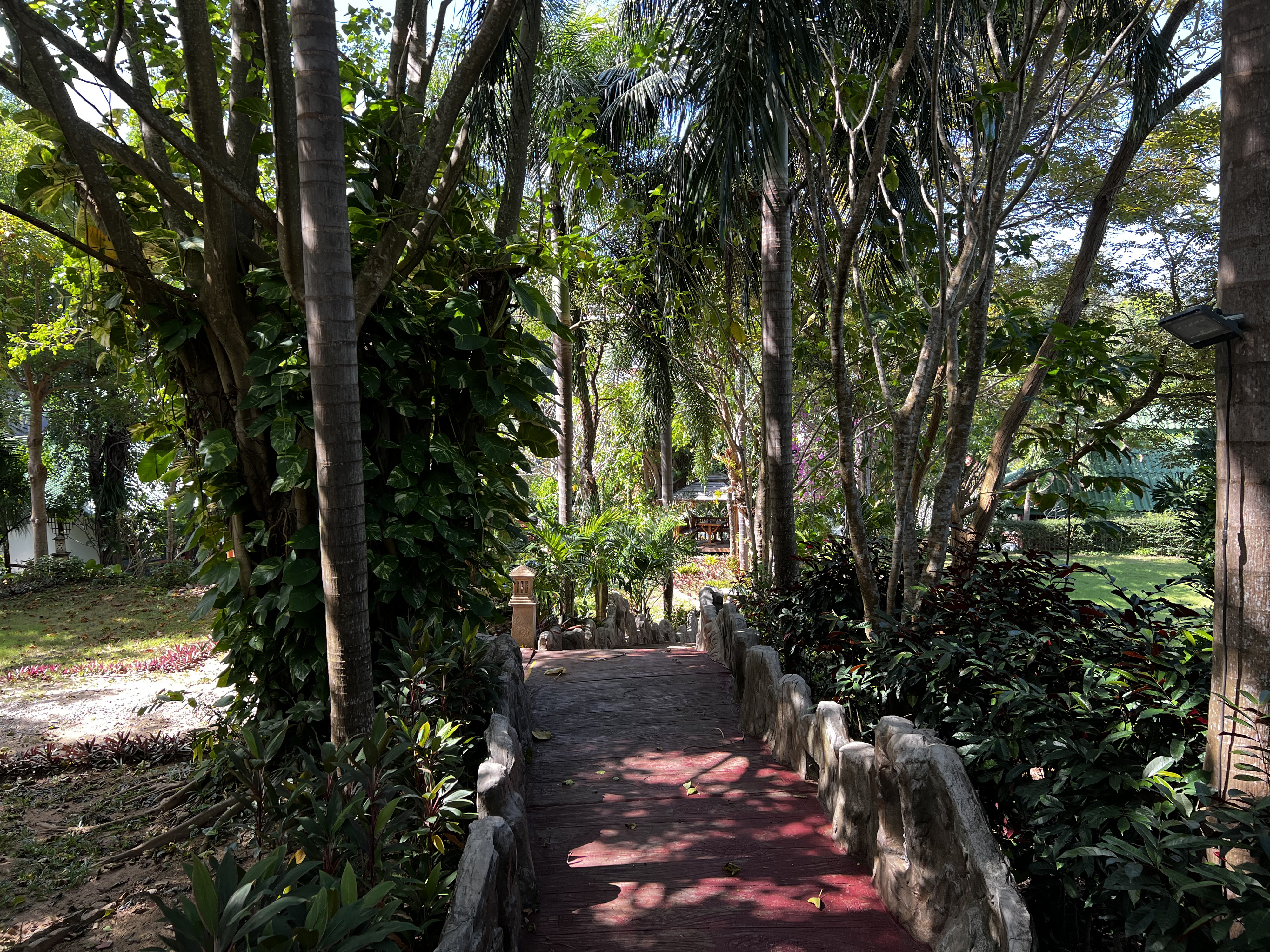 Picture Thailand Phuket Kata Beach Kata Garden Resort 2021-12 8 - Discovery Kata Garden Resort