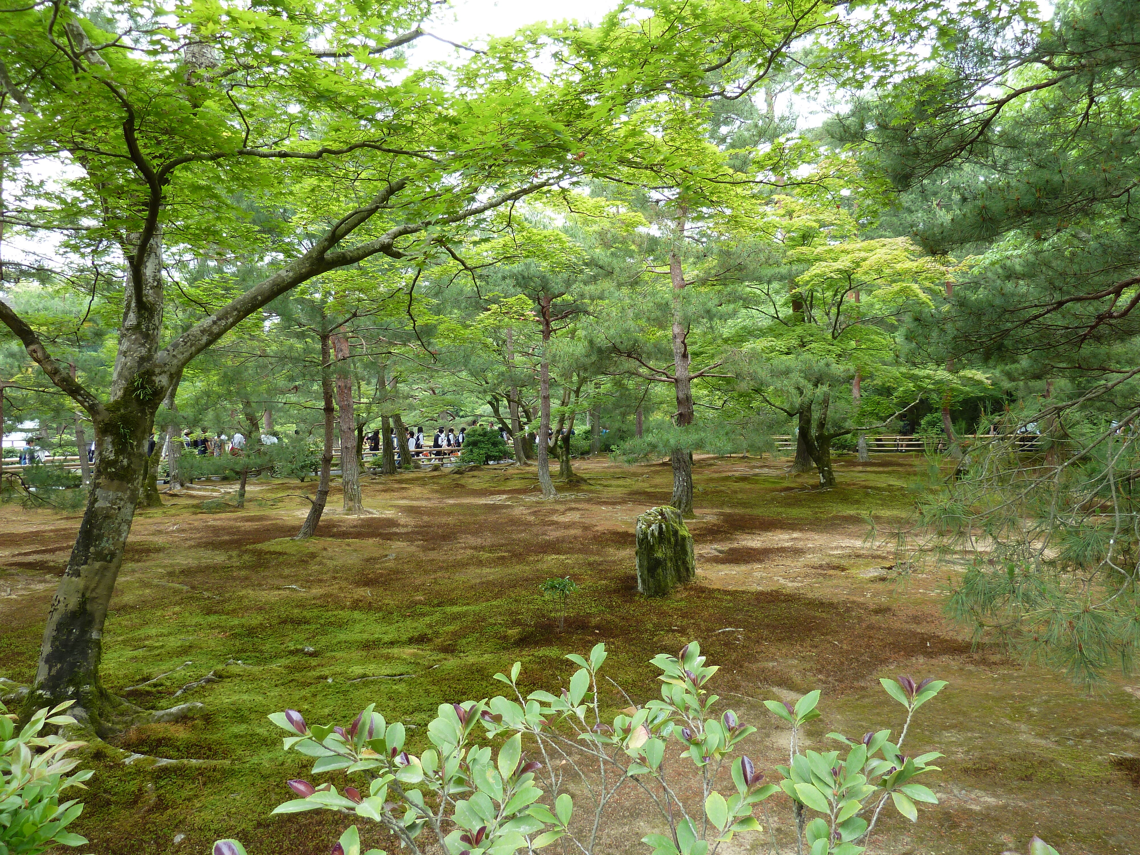 Picture Japan Kyoto Kinkakuji Temple(Golden Pavilion) 2010-06 9 - Around Kinkakuji Temple(Golden Pavilion)