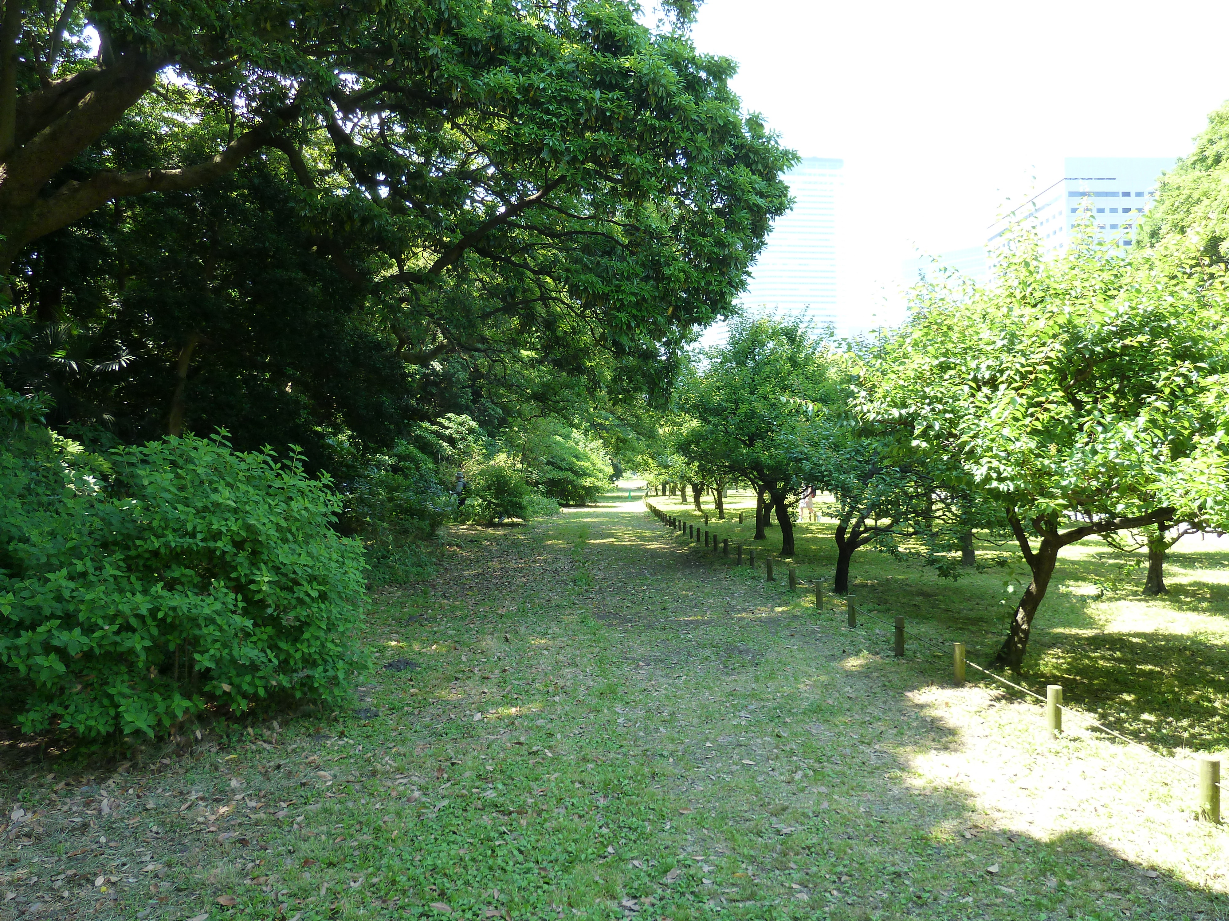 Picture Japan Tokyo Hama rikyu Gardens 2010-06 14 - Center Hama rikyu Gardens