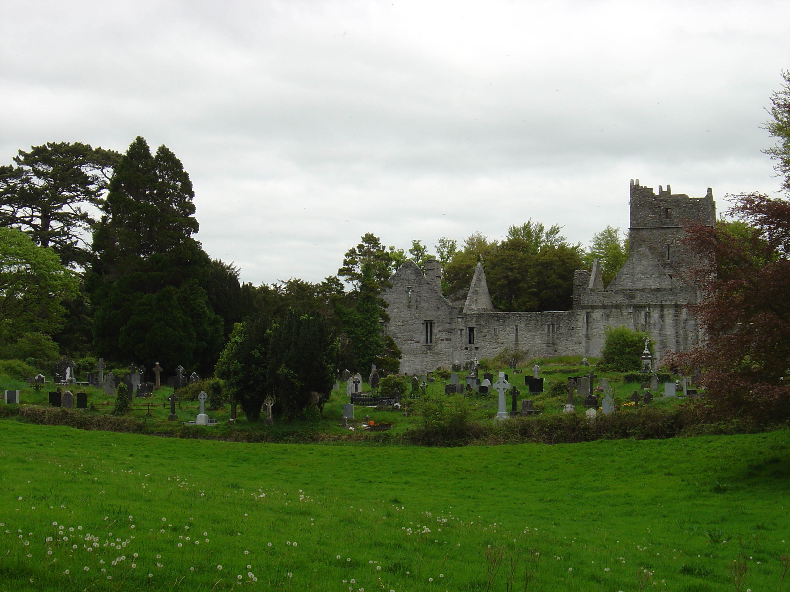 Picture Ireland Kerry Killarney National Park Muckross Lake 2004-05 17 - Discovery Muckross Lake