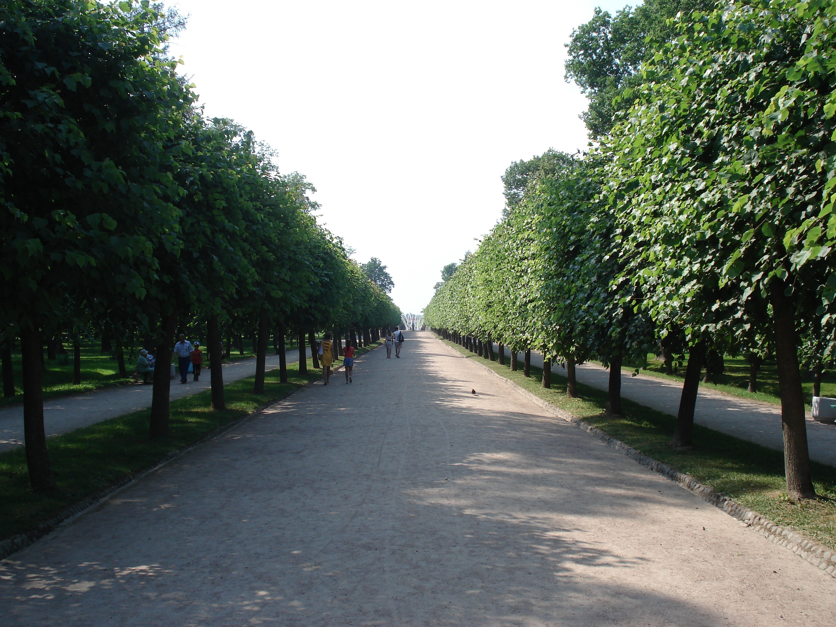 Picture Russia Petrodvorets 2006-07 49 - Journey Petrodvorets