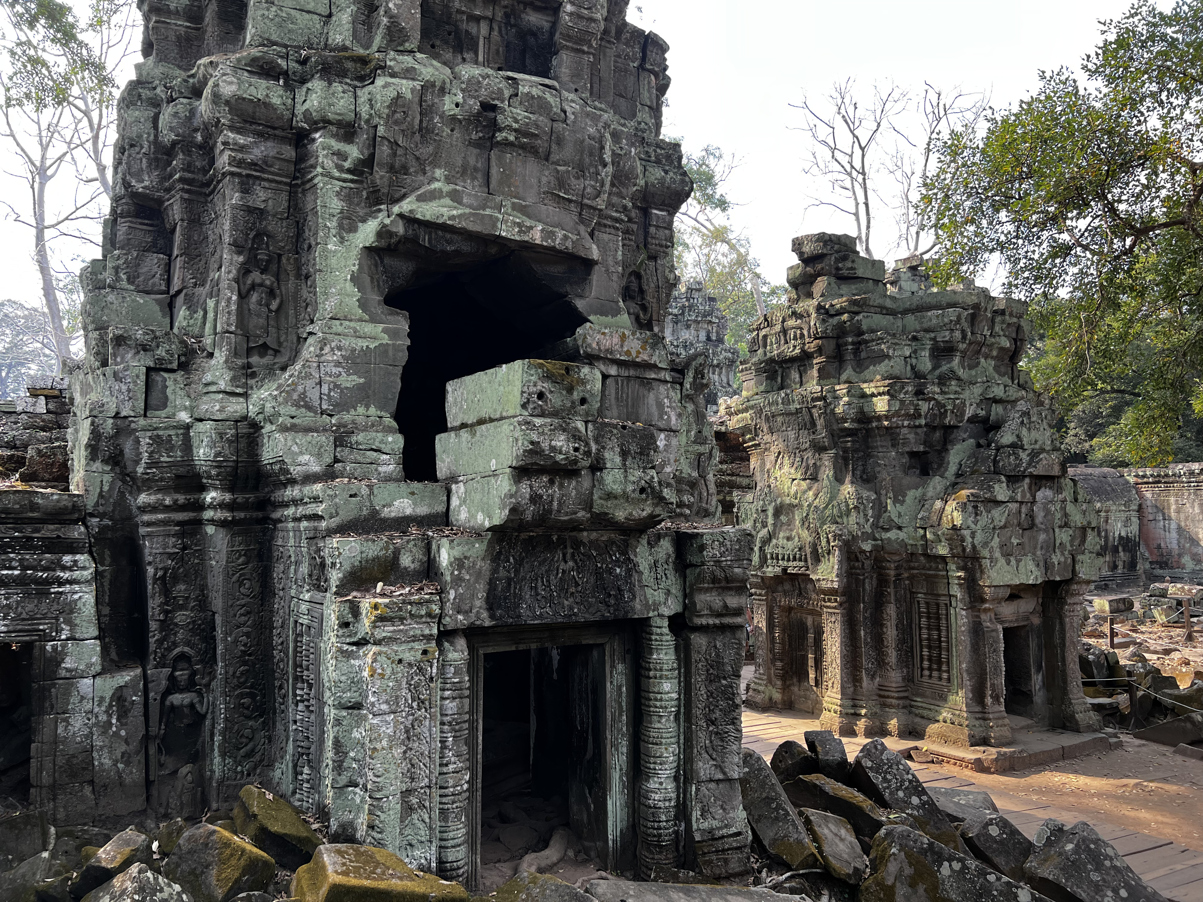 Picture Cambodia Siem Reap Ta Prohm 2023-01 100 - Around Ta Prohm