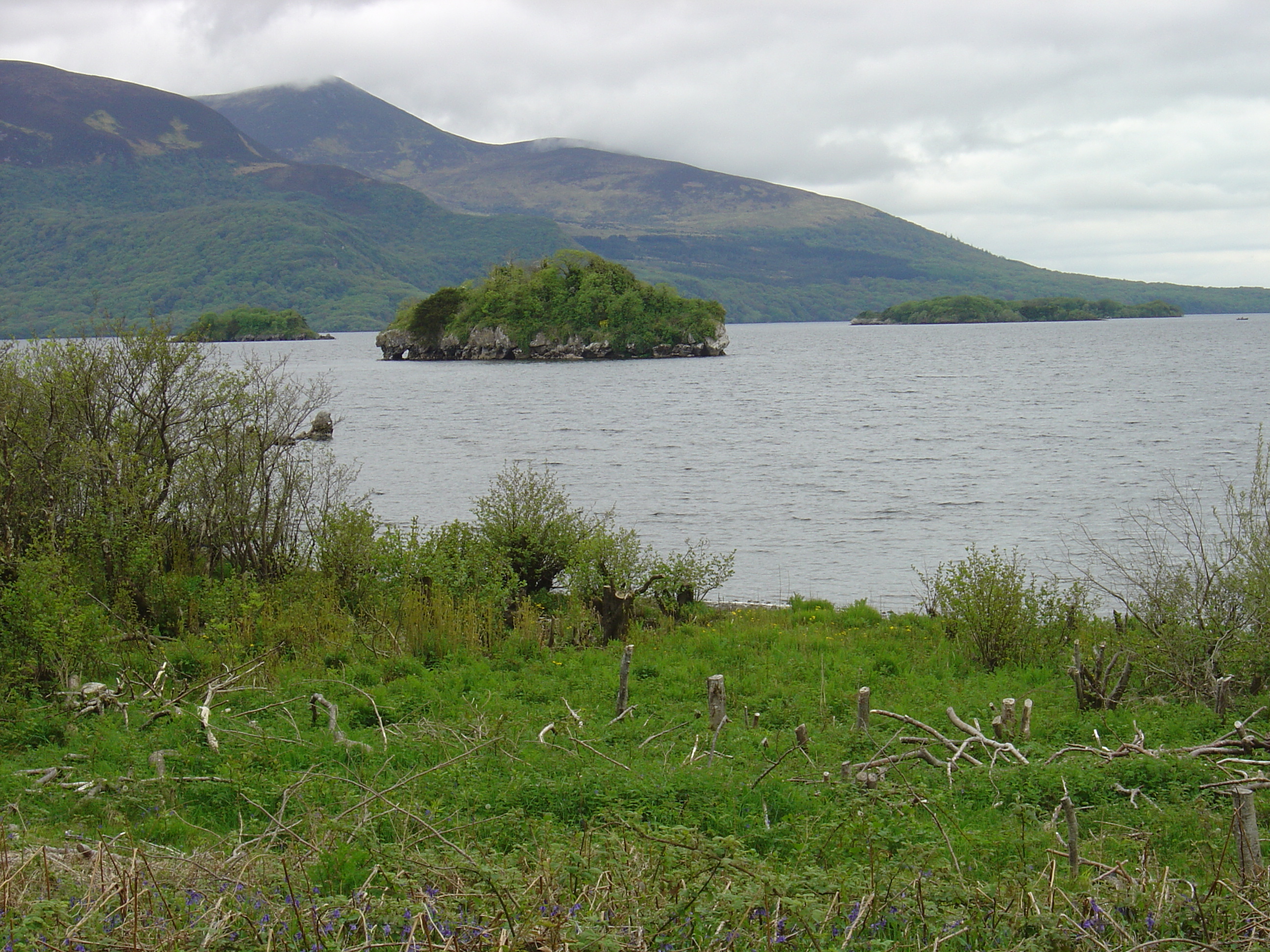 Picture Ireland Kerry Killarney National Park Muckross Lake 2004-05 14 - Tour Muckross Lake