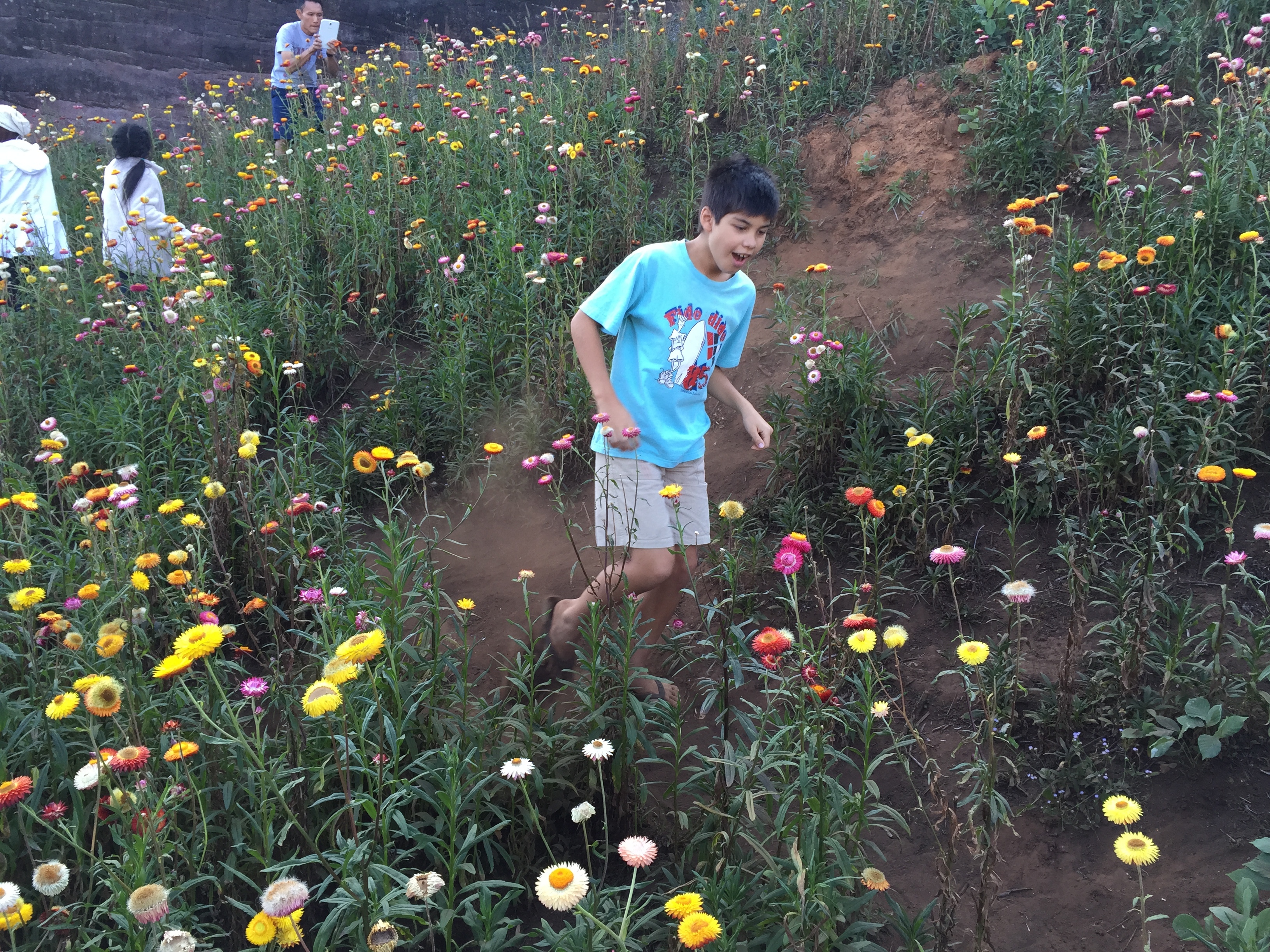 Picture Thailand Phu Hin Rong Kla National Park 2014-12 95 - Tour Phu Hin Rong Kla National Park