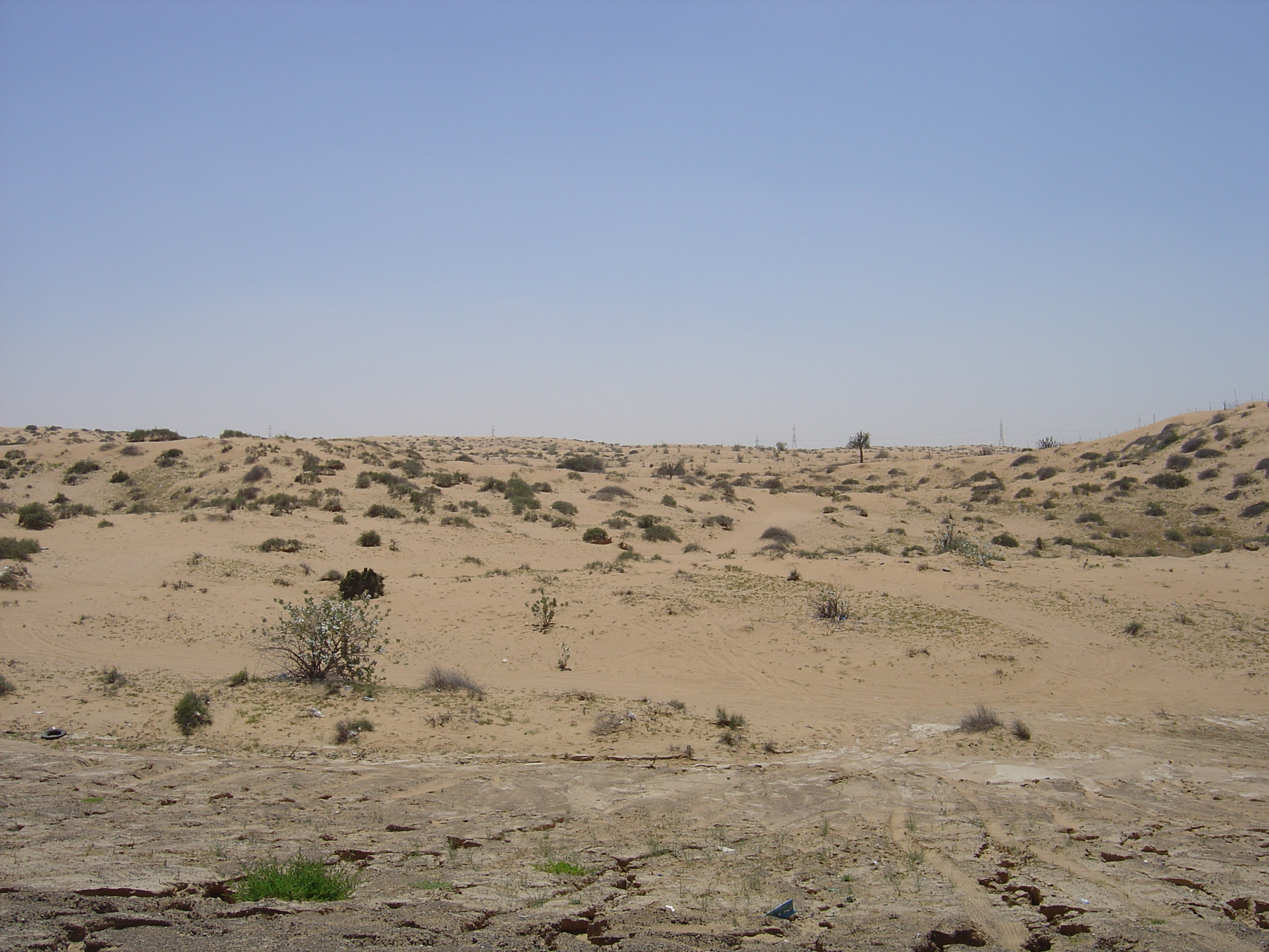 Picture United Arab Emirates Road near Ajman 2005-03 3 - Around Road near Ajman