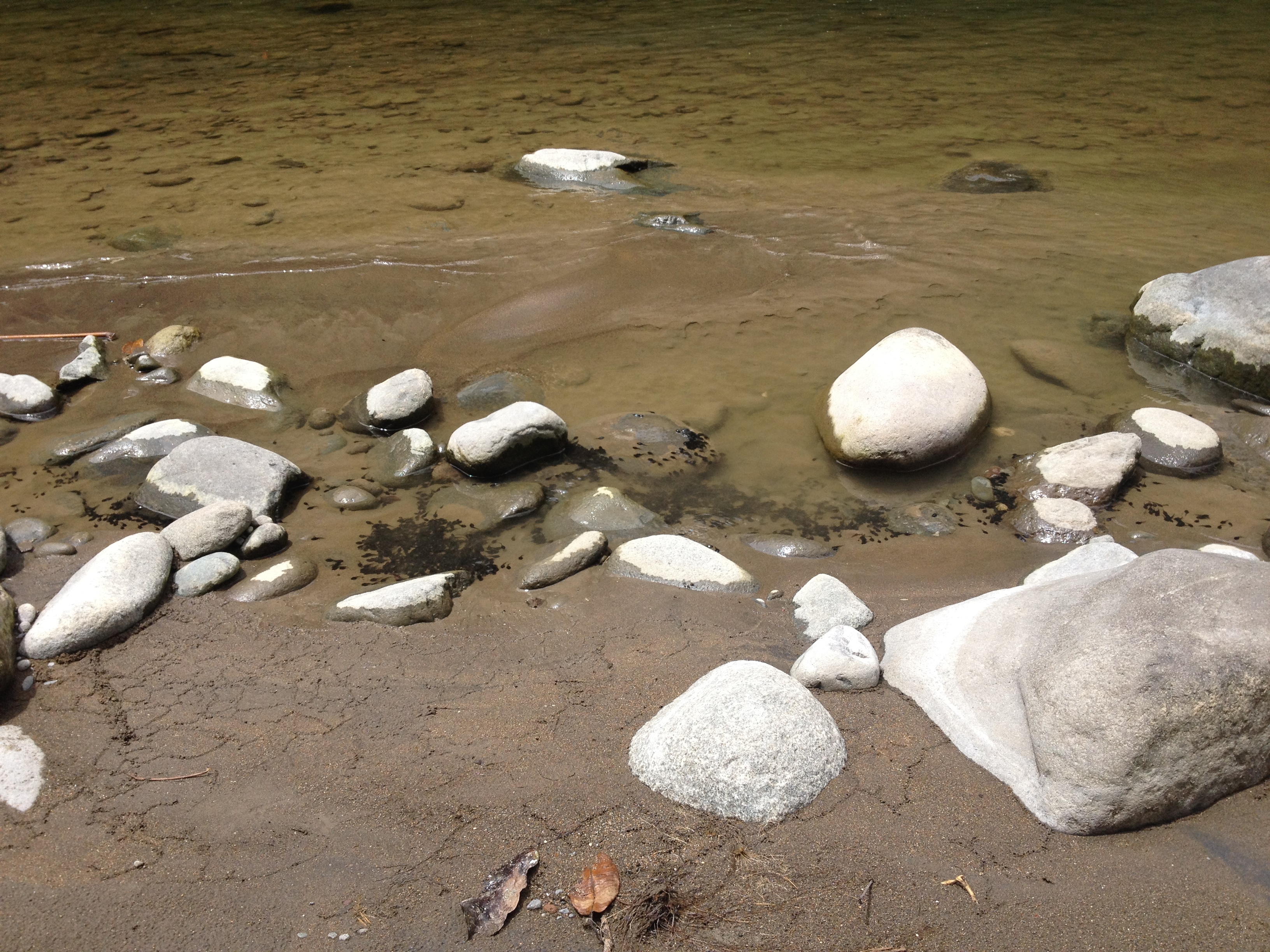 Picture Costa Rica Pacuare River 2015-03 106 - History Pacuare River