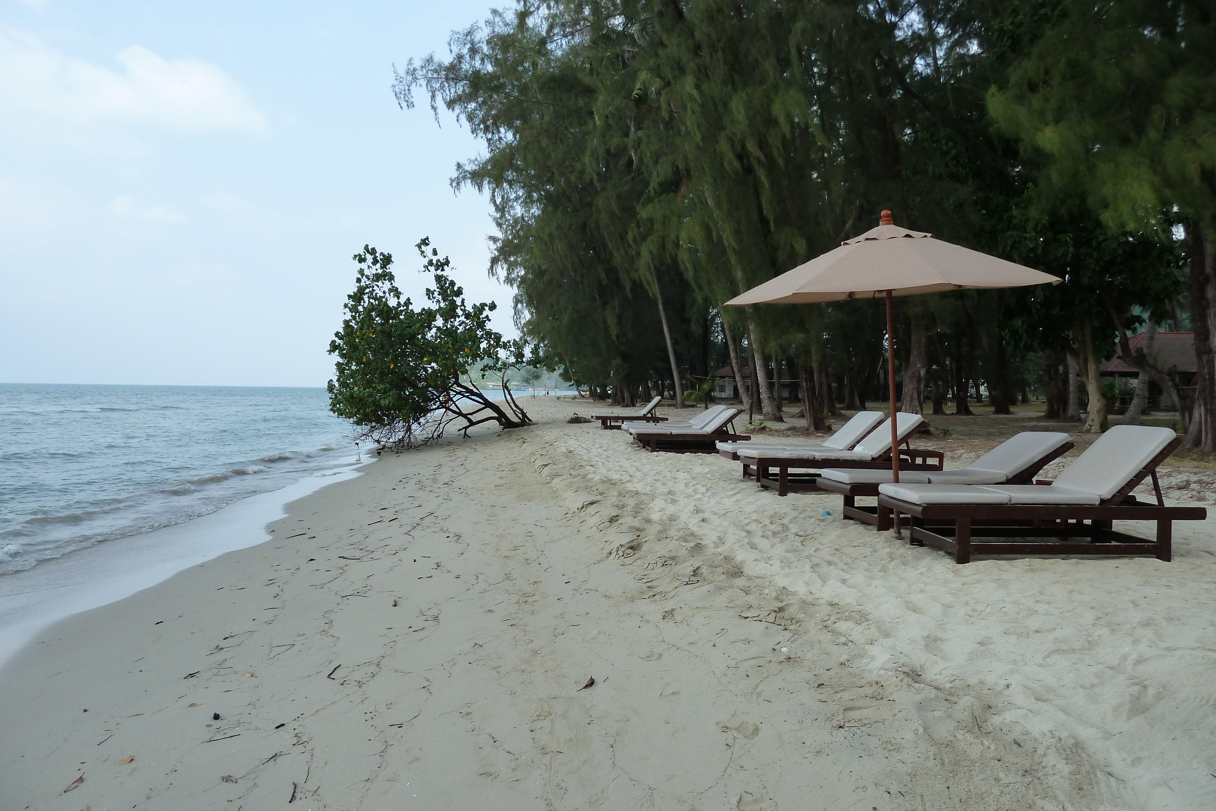 Picture Thailand Ko Chang Klong Prao beach 2011-02 65 - Tours Klong Prao beach