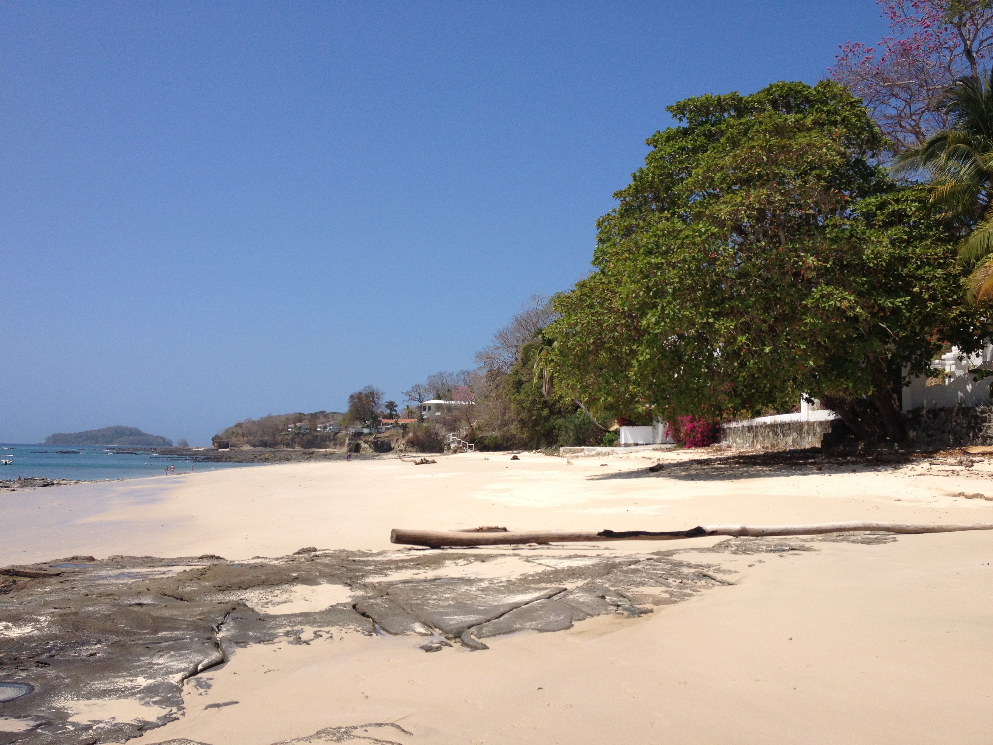 Picture Panama Contadora Island 2015-03 125 - Discovery Contadora Island