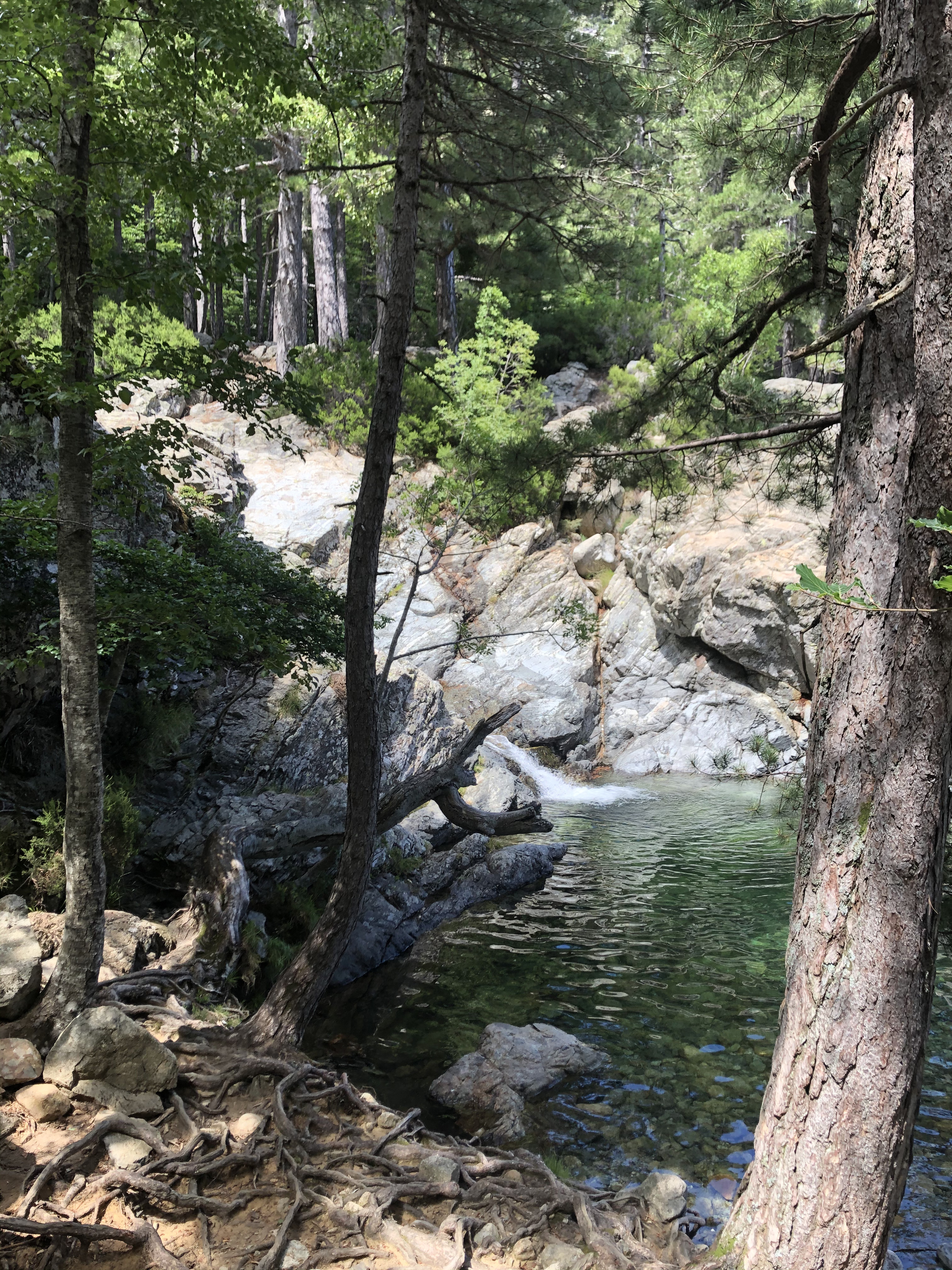 Picture France Corsica Cascade des Anglais 2020-07 20 - Center Cascade des Anglais