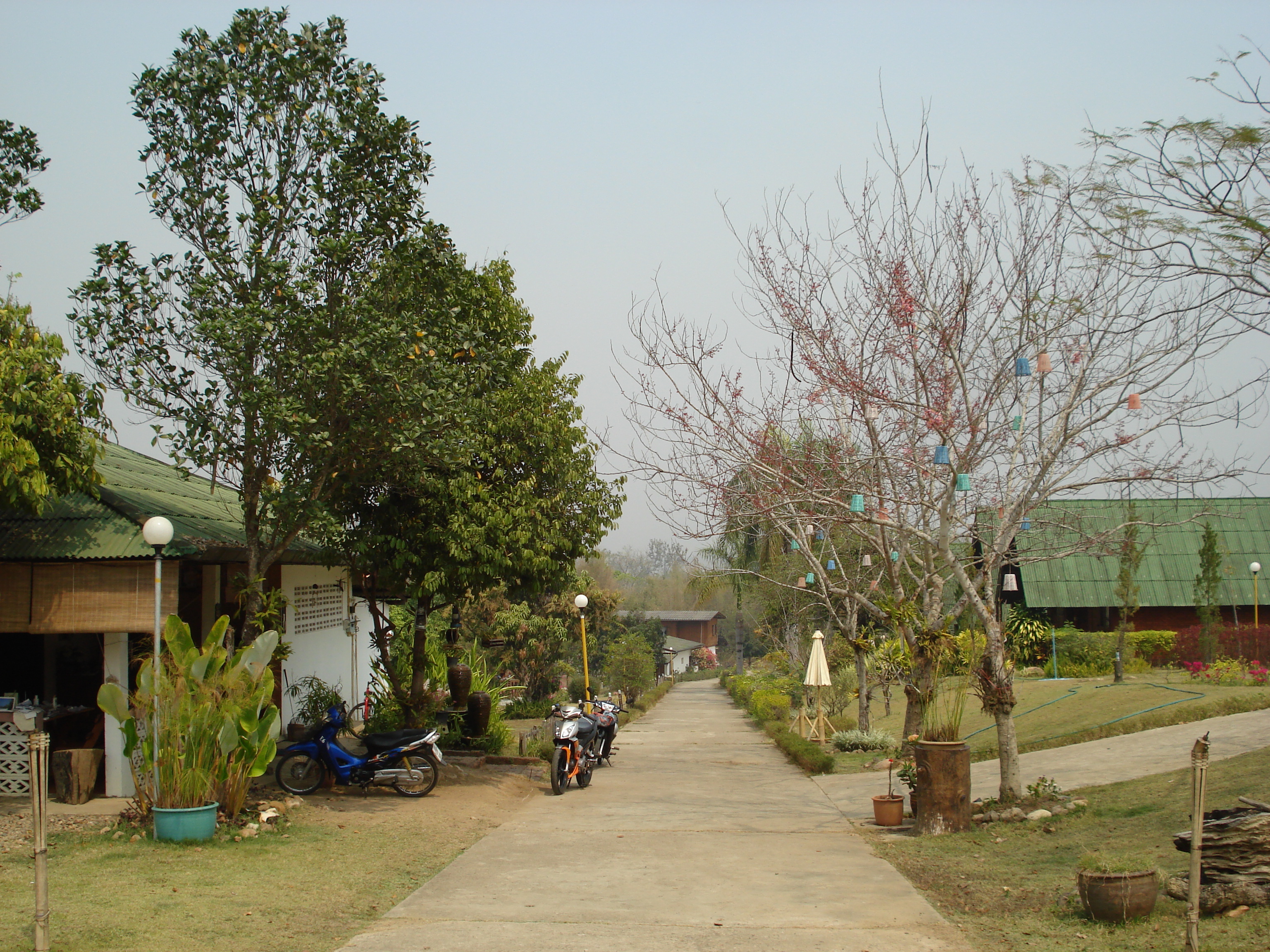 Picture Thailand Pai 2007-02 22 - Center Pai