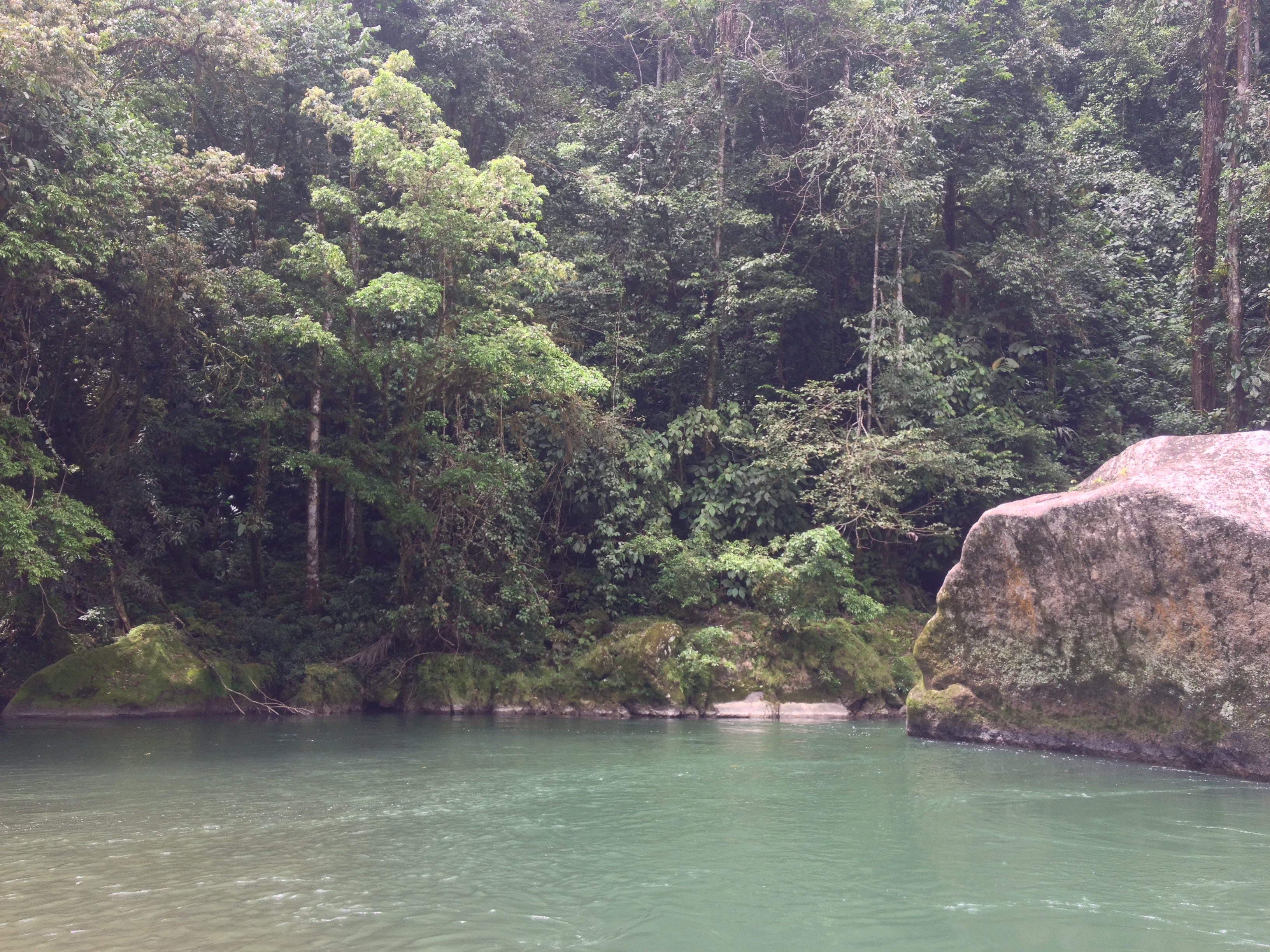 Picture Costa Rica Pacuare River 2015-03 197 - Journey Pacuare River