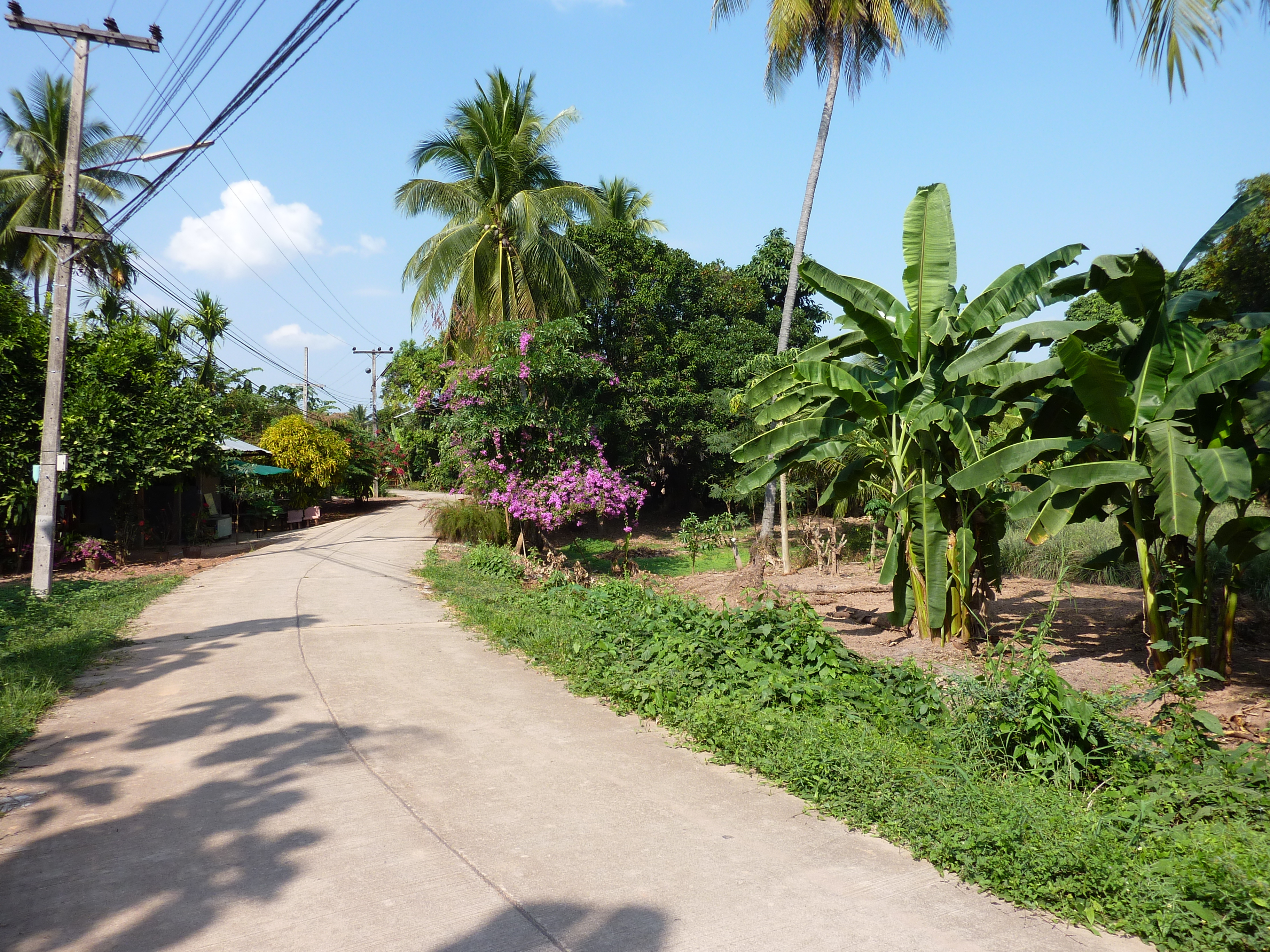 Picture Thailand Phitsanulok Chom Thong 2009-12 20 - Tour Chom Thong