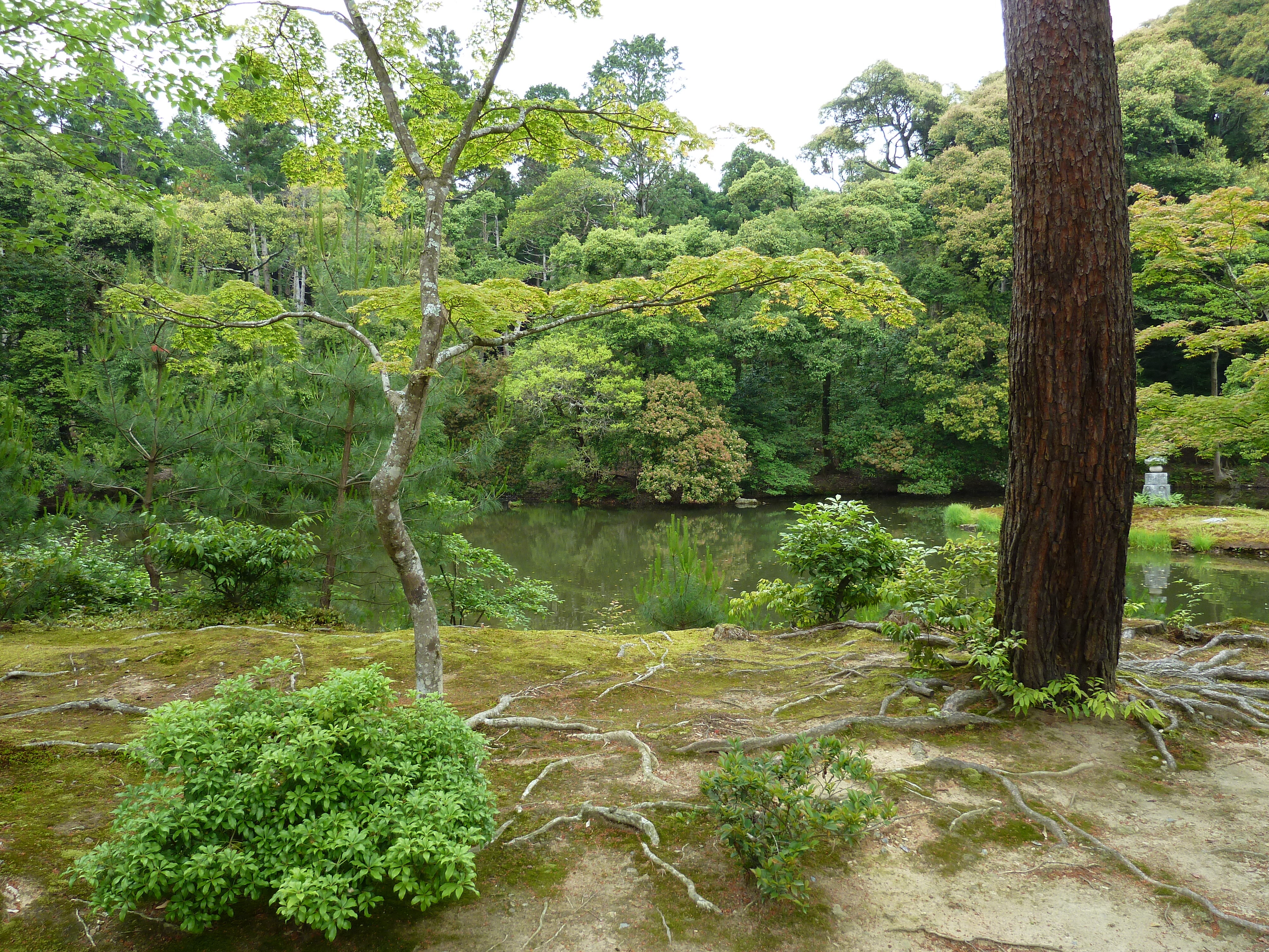 Picture Japan Kyoto Kinkakuji Temple(Golden Pavilion) 2010-06 42 - Tour Kinkakuji Temple(Golden Pavilion)