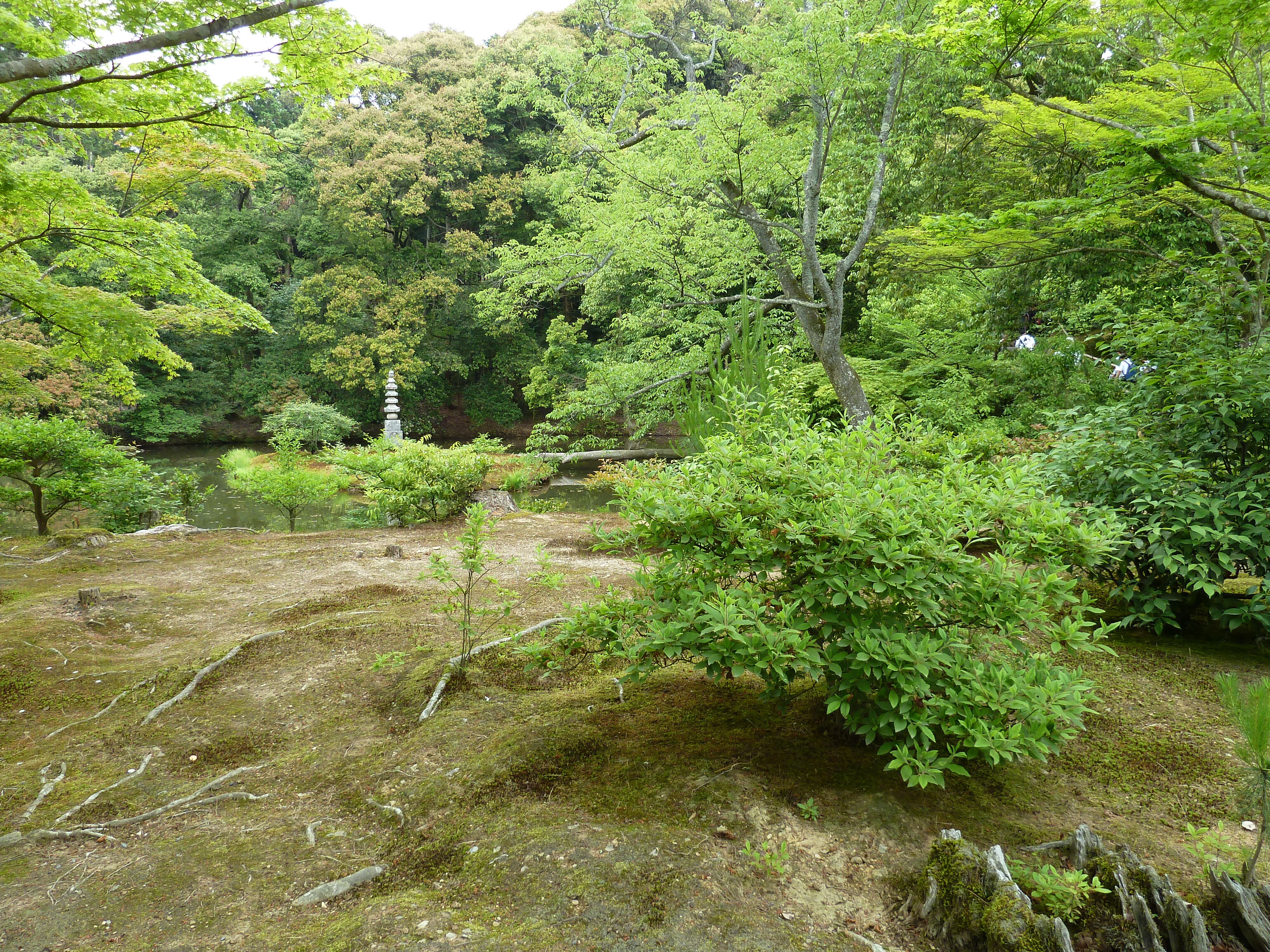 Picture Japan Kyoto Kinkakuji Temple(Golden Pavilion) 2010-06 40 - Around Kinkakuji Temple(Golden Pavilion)