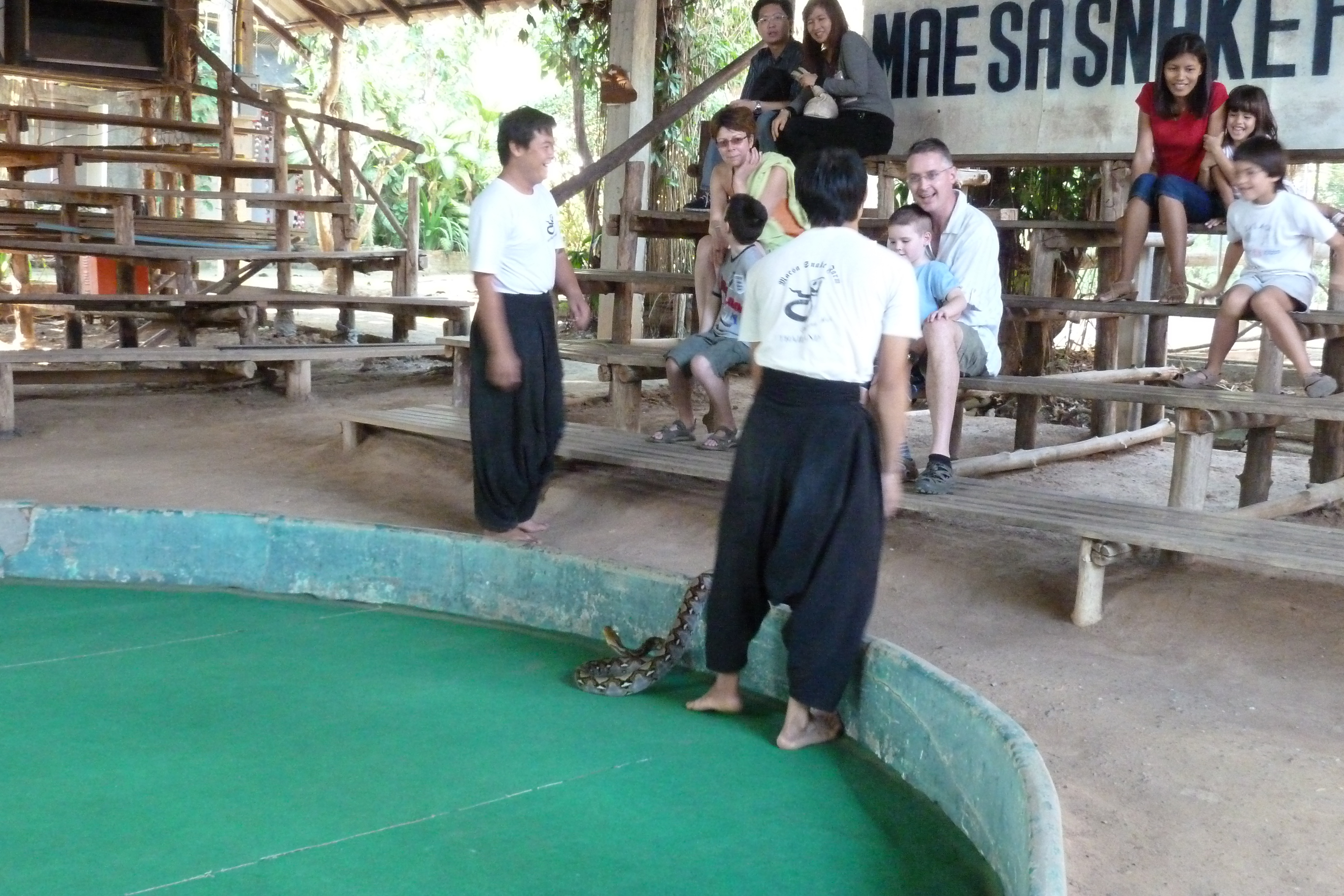 Picture Thailand Chiang Mai Mae Sa Snake Farm 2010-12 88 - Tour Mae Sa Snake Farm