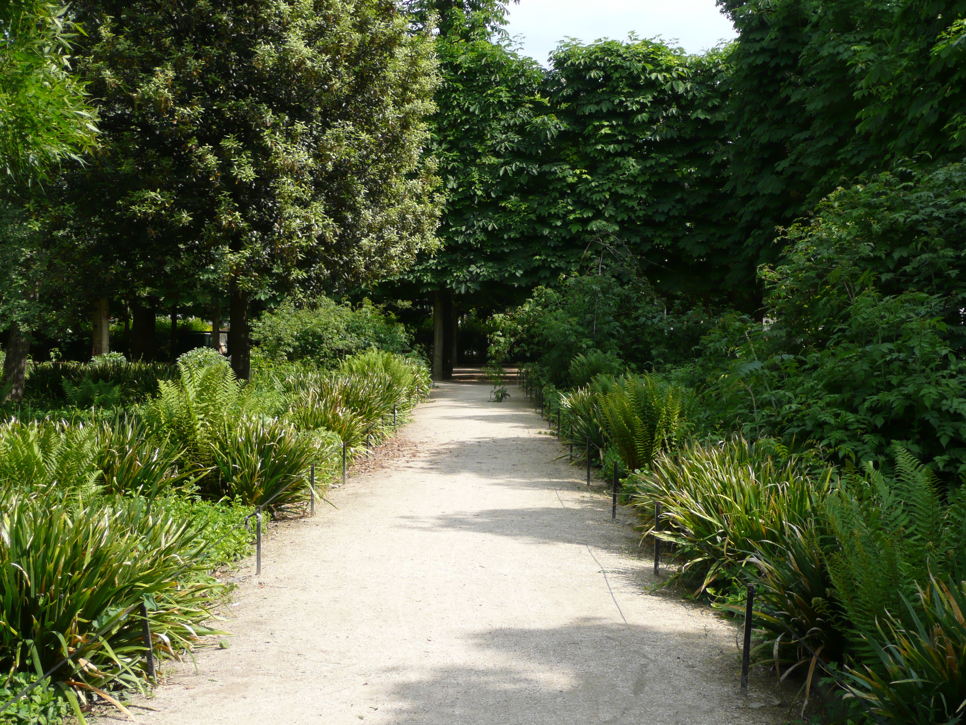 Picture France Paris Garden of Tuileries 2007-05 241 - Tours Garden of Tuileries