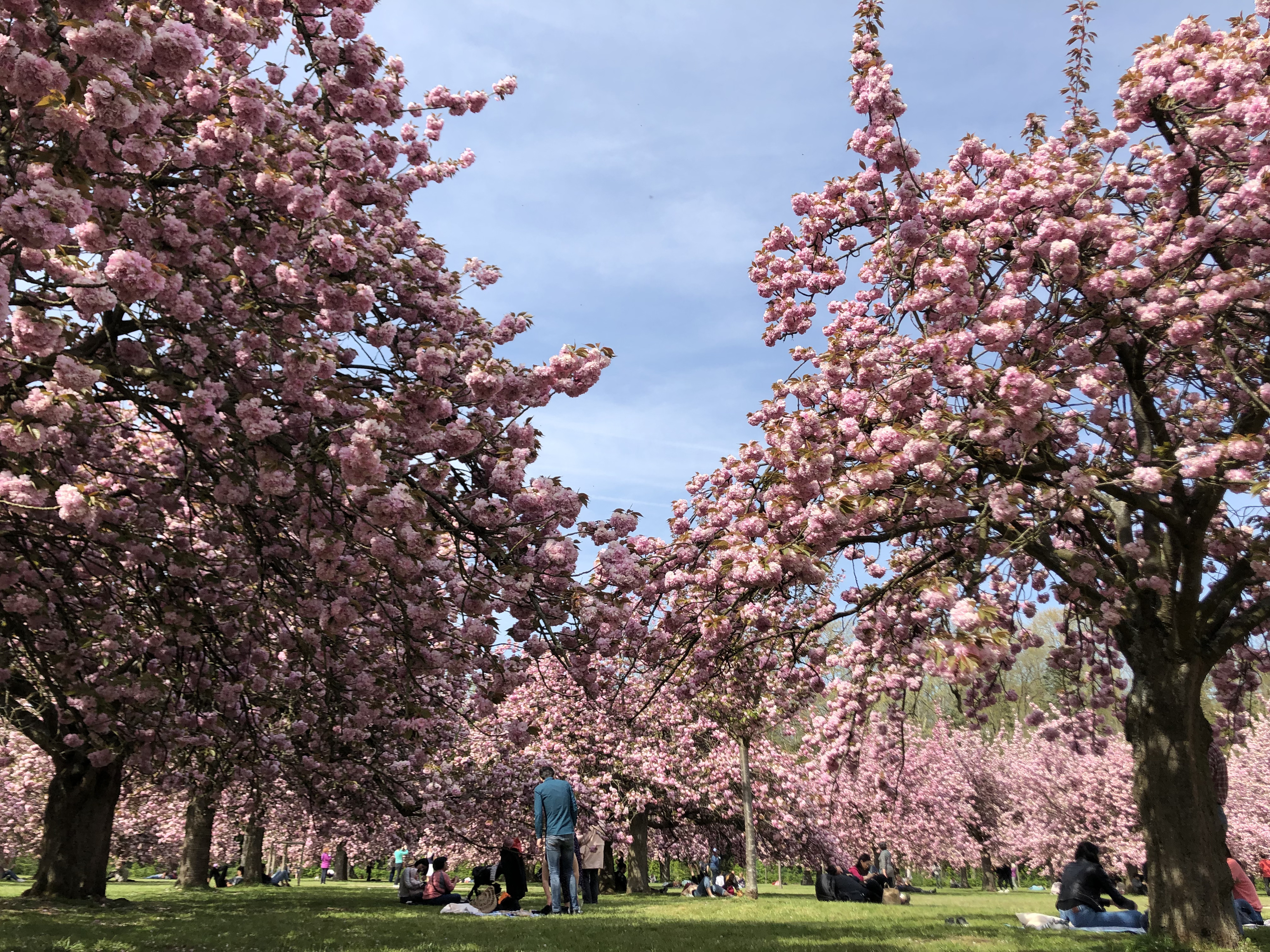 Picture France Parc de Sceaux 2019-04 57 - Discovery Parc de Sceaux