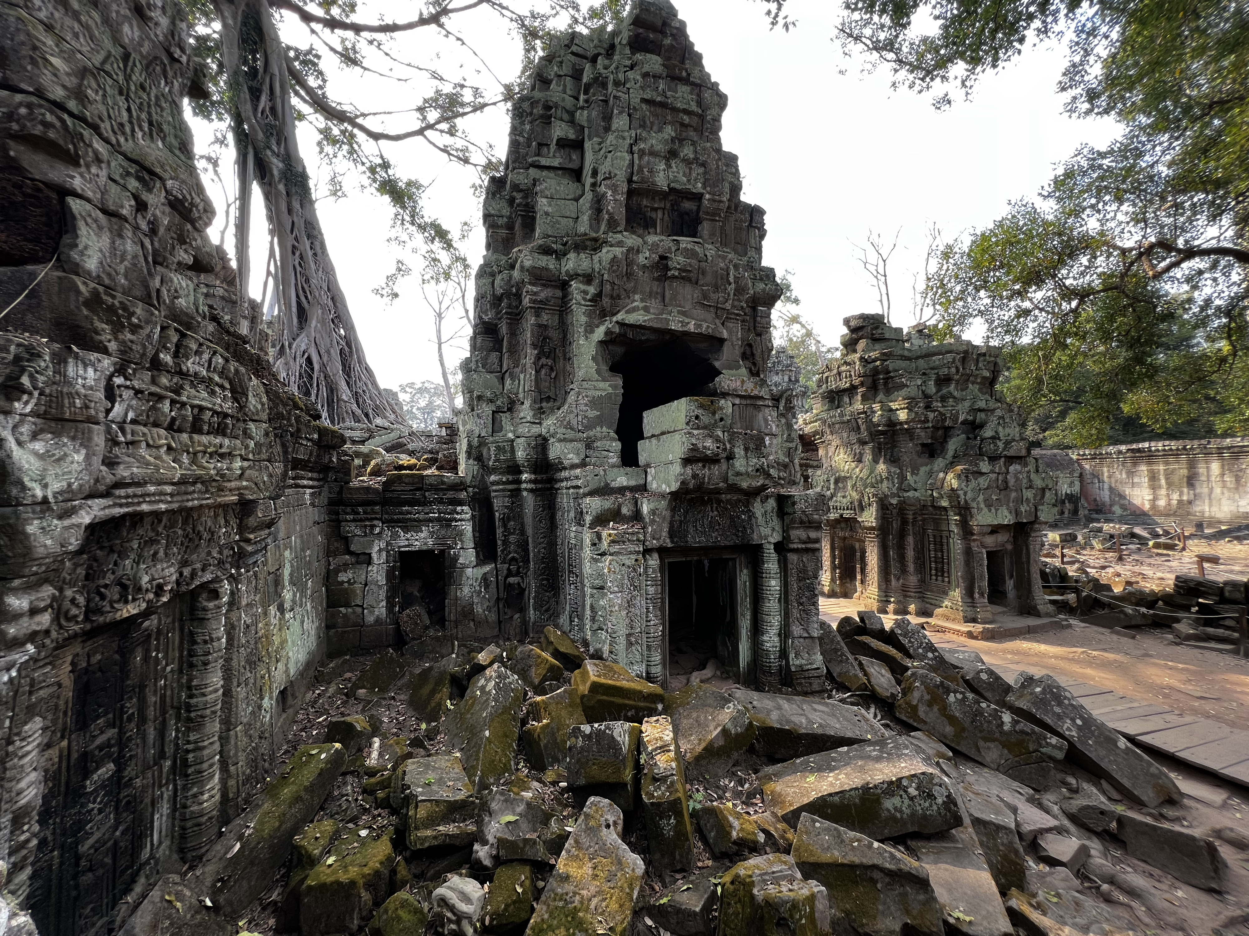 Picture Cambodia Siem Reap Ta Prohm 2023-01 51 - Tour Ta Prohm