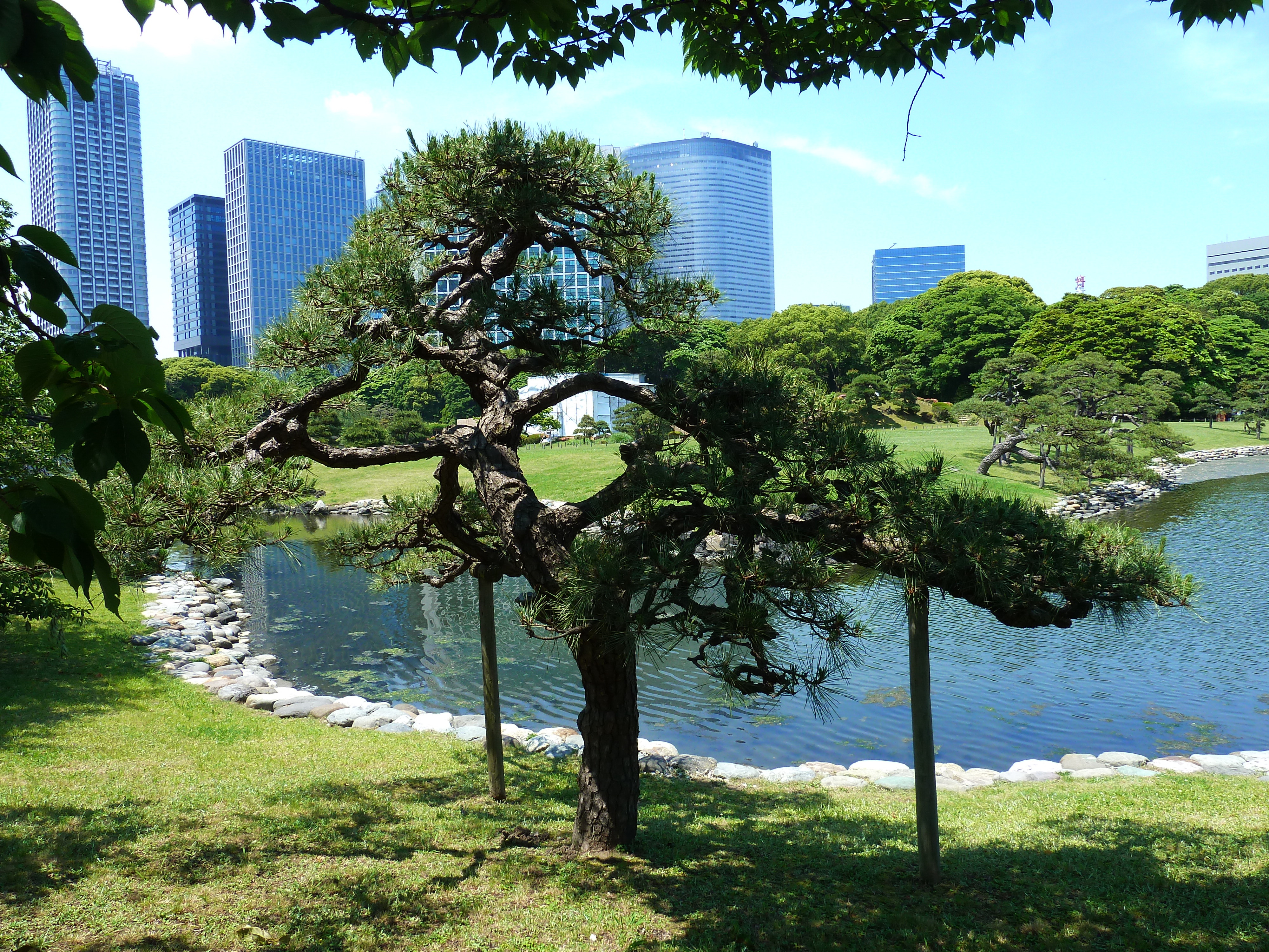 Picture Japan Tokyo Hama rikyu Gardens 2010-06 19 - Journey Hama rikyu Gardens