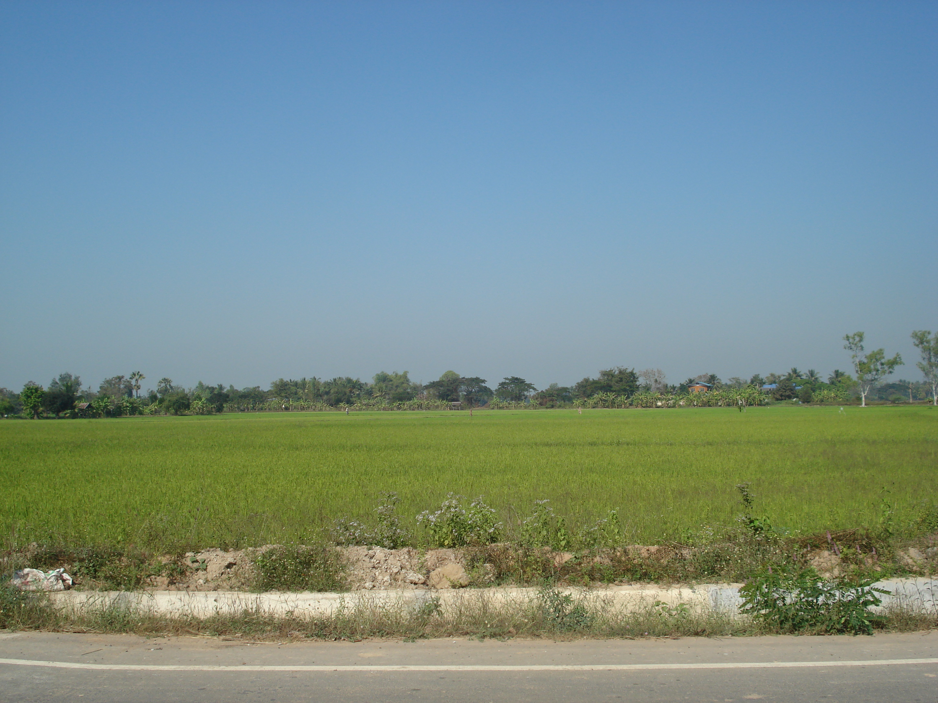 Picture Thailand Phitsanulok 2008-01 14 - Recreation Phitsanulok