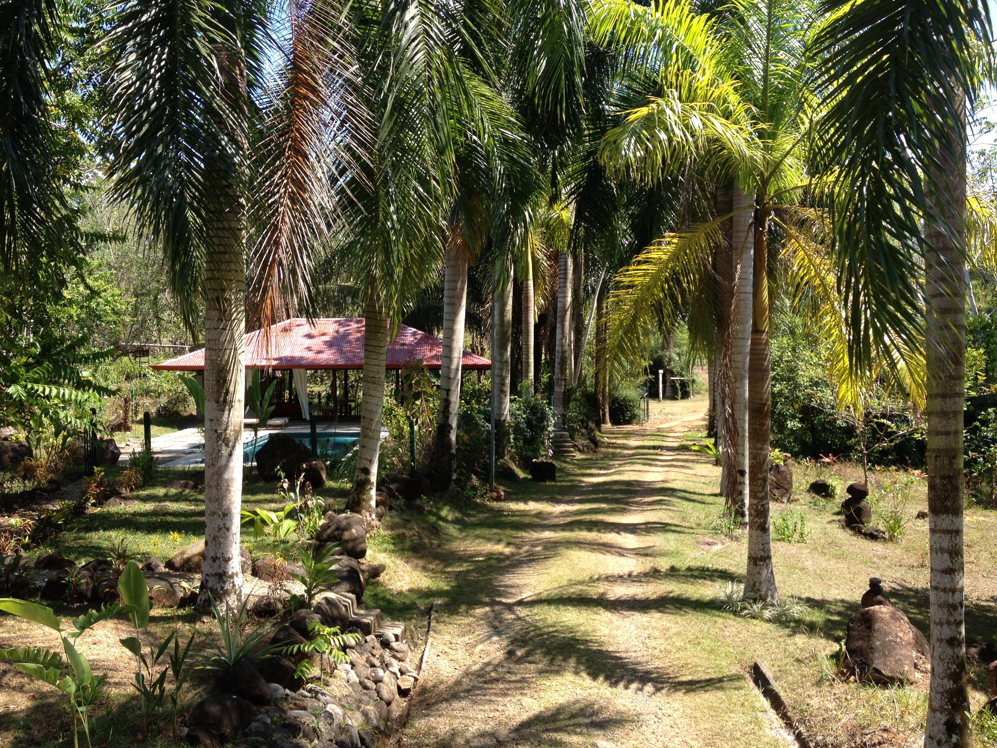 Picture Costa Rica Uvita 2015-03 80 - Discovery Uvita