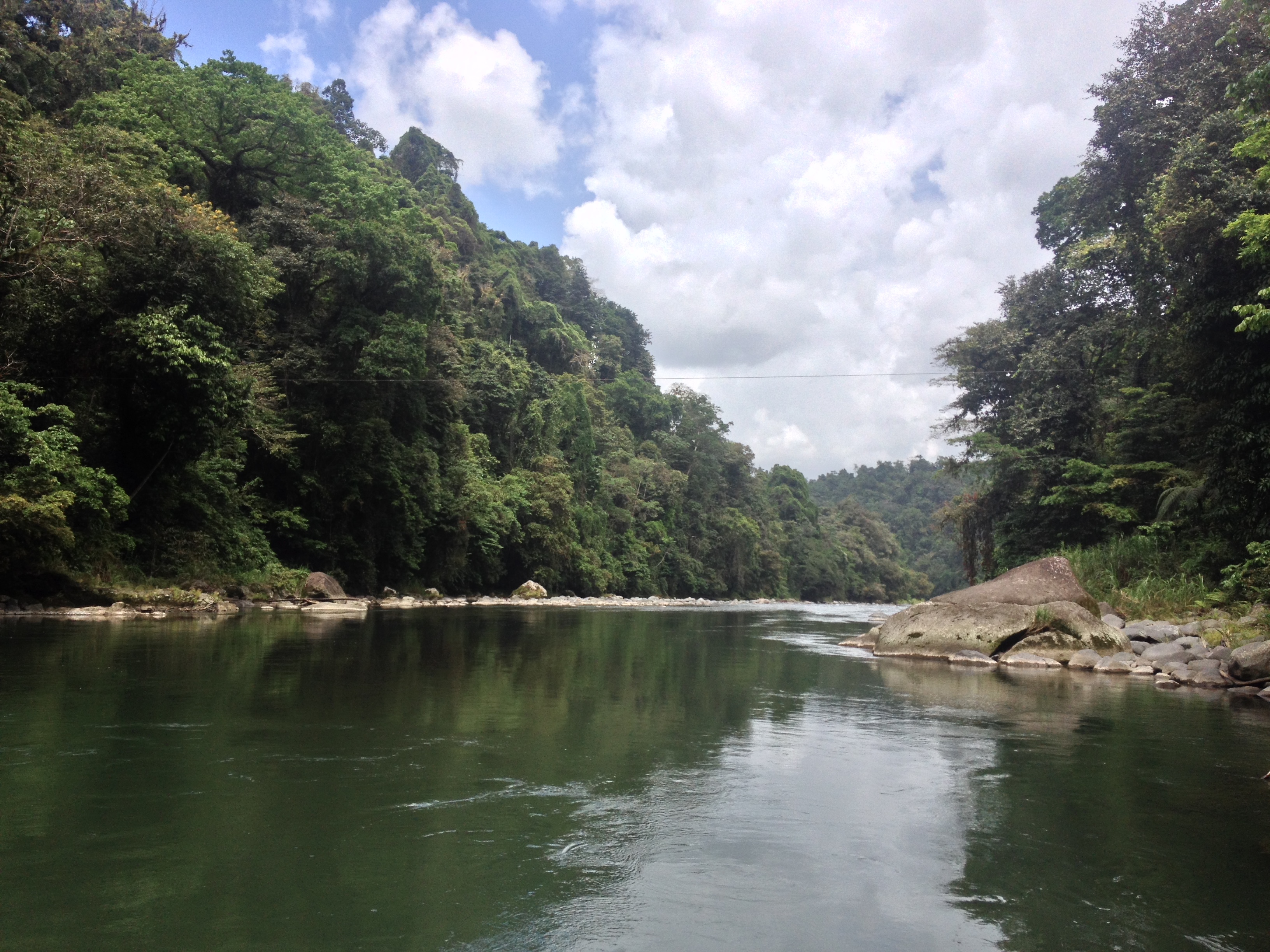 Picture Costa Rica Pacuare River 2015-03 75 - Around Pacuare River