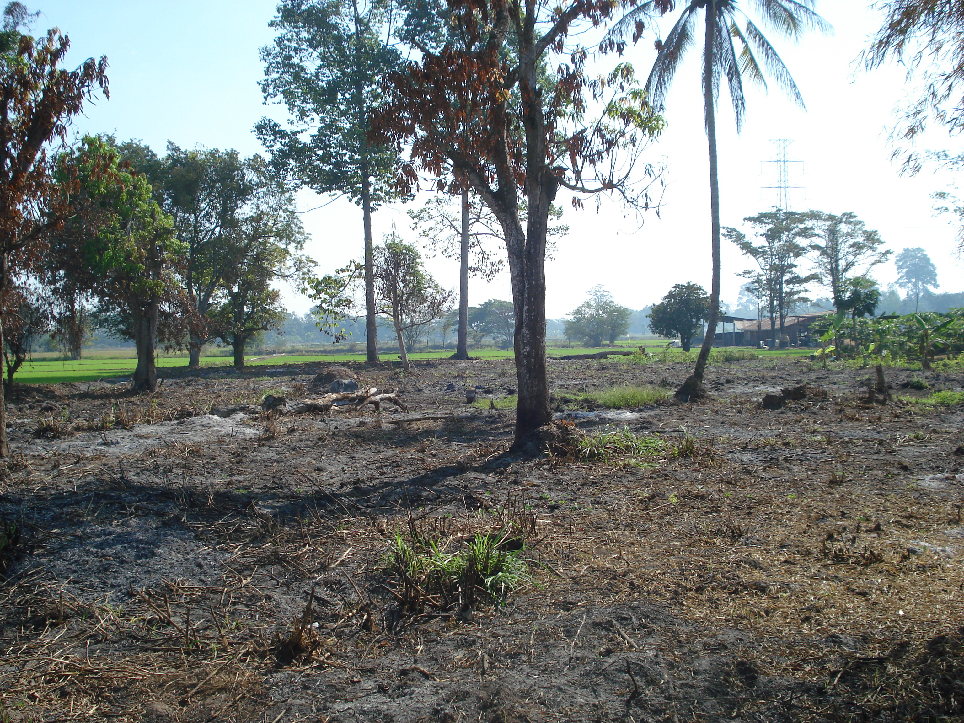 Picture Thailand Phitsanulok 2008-01 19 - History Phitsanulok