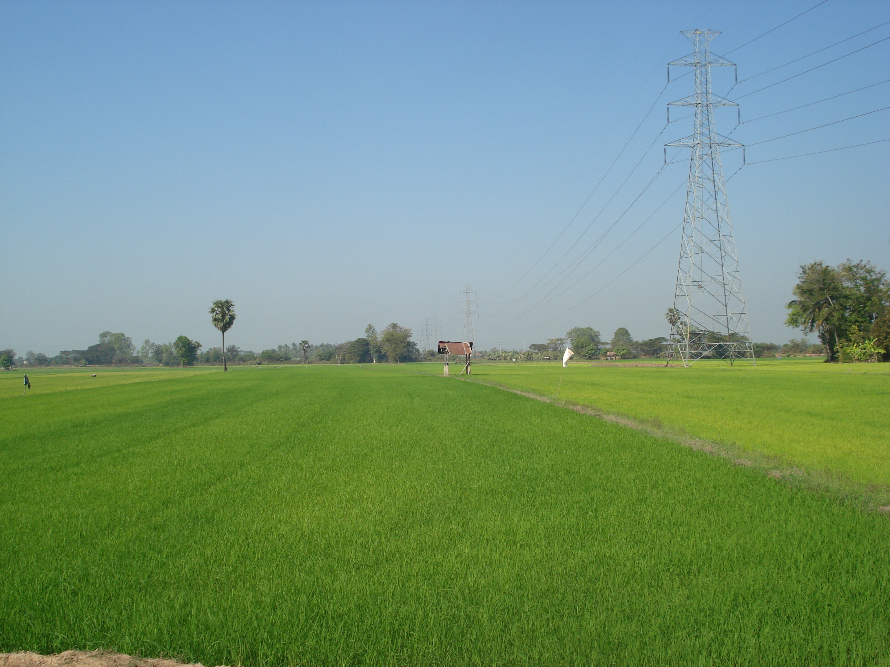 Picture Thailand Phitsanulok 2008-01 3 - Recreation Phitsanulok