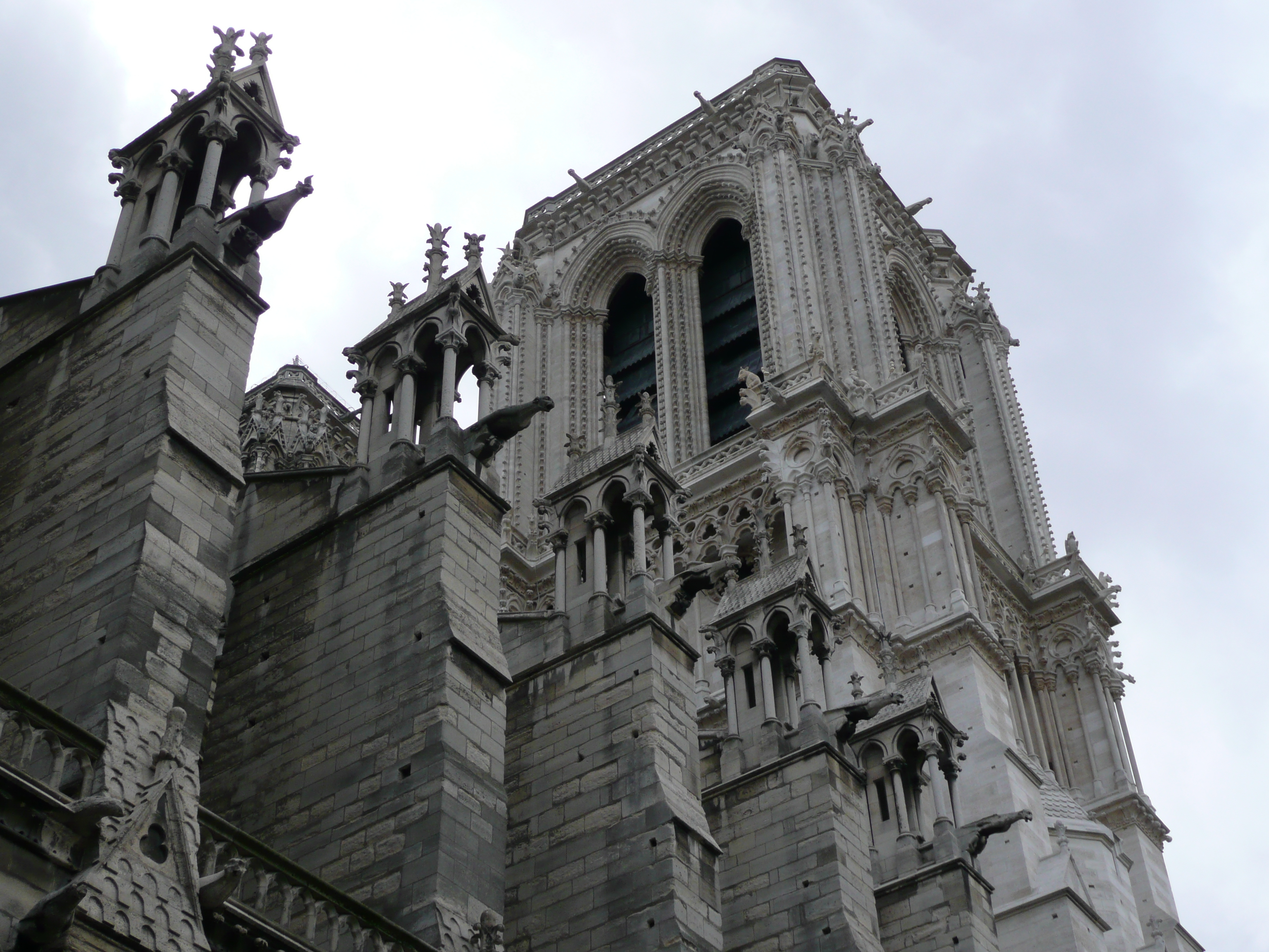 Picture France Paris Notre Dame 2007-05 107 - Recreation Notre Dame